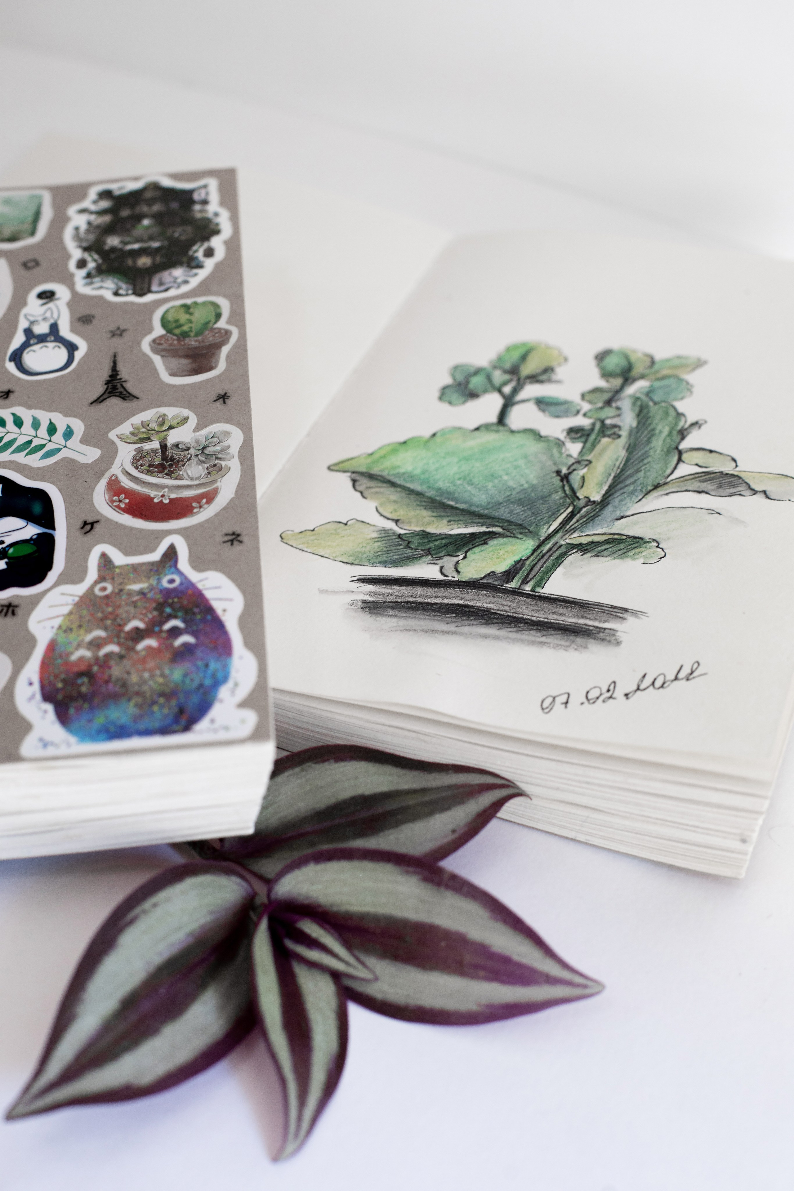 Контент для иллюстратора. SaGaFOTO.ru