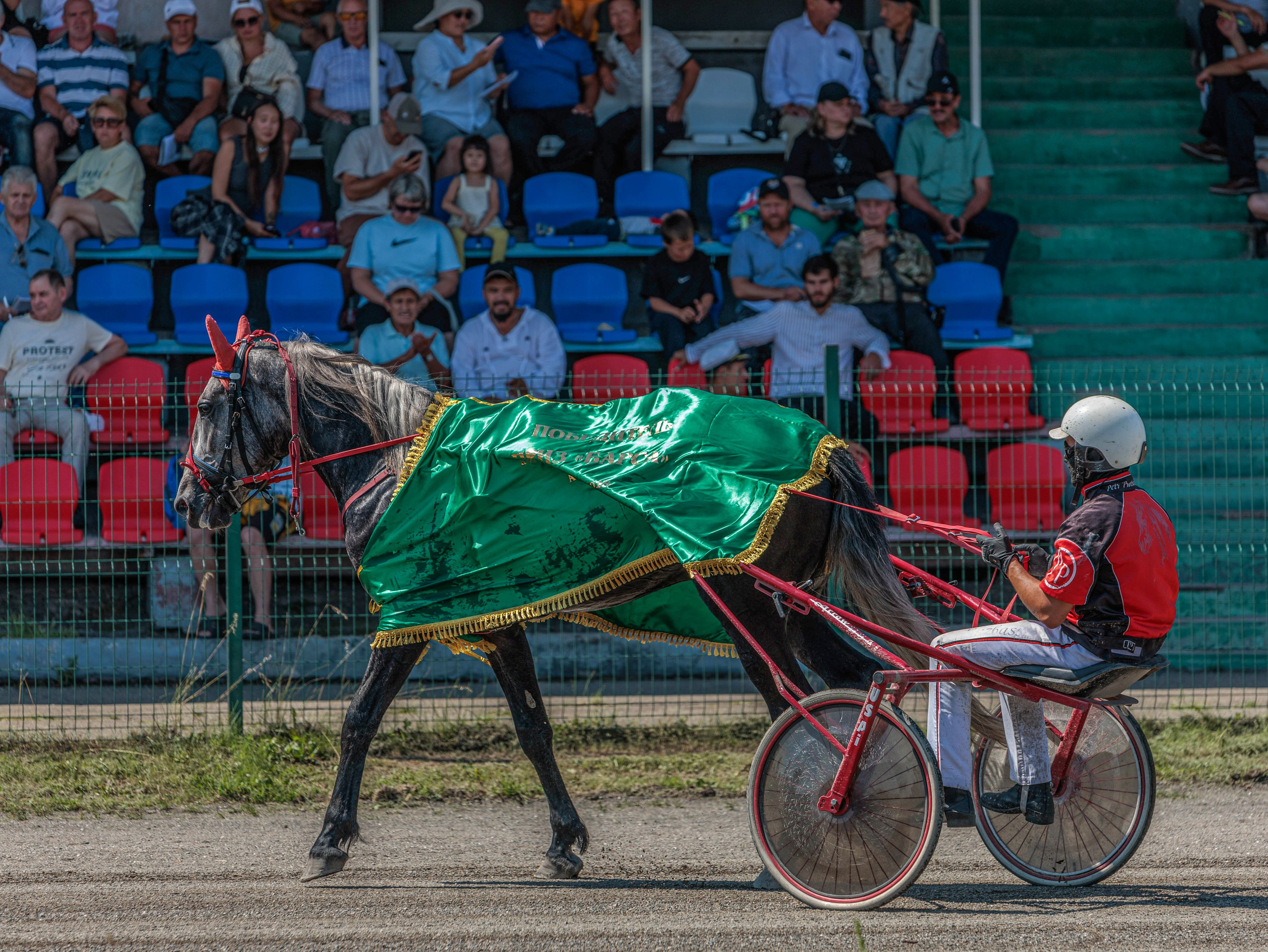 Зарисовки Абаканский ипподром 2025. Конный фотограф в Красноярске — Любовь Похабова