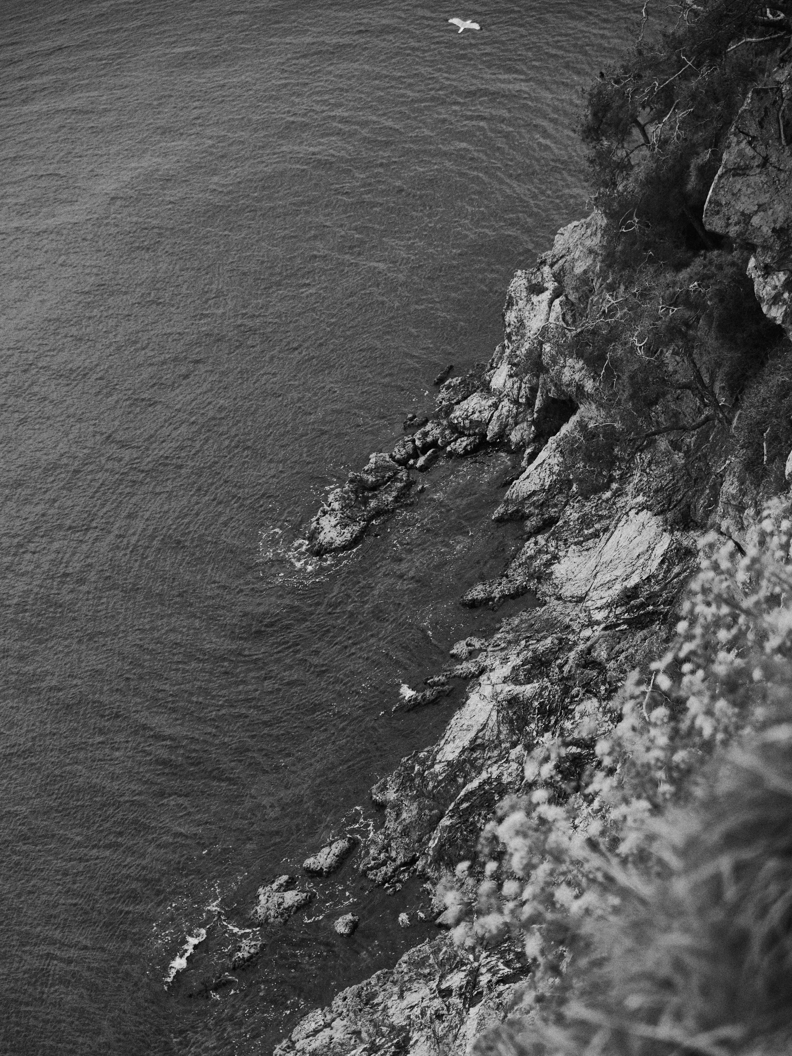 B&W. Jorgis — фотограф в Хургаде / обучение фотографии