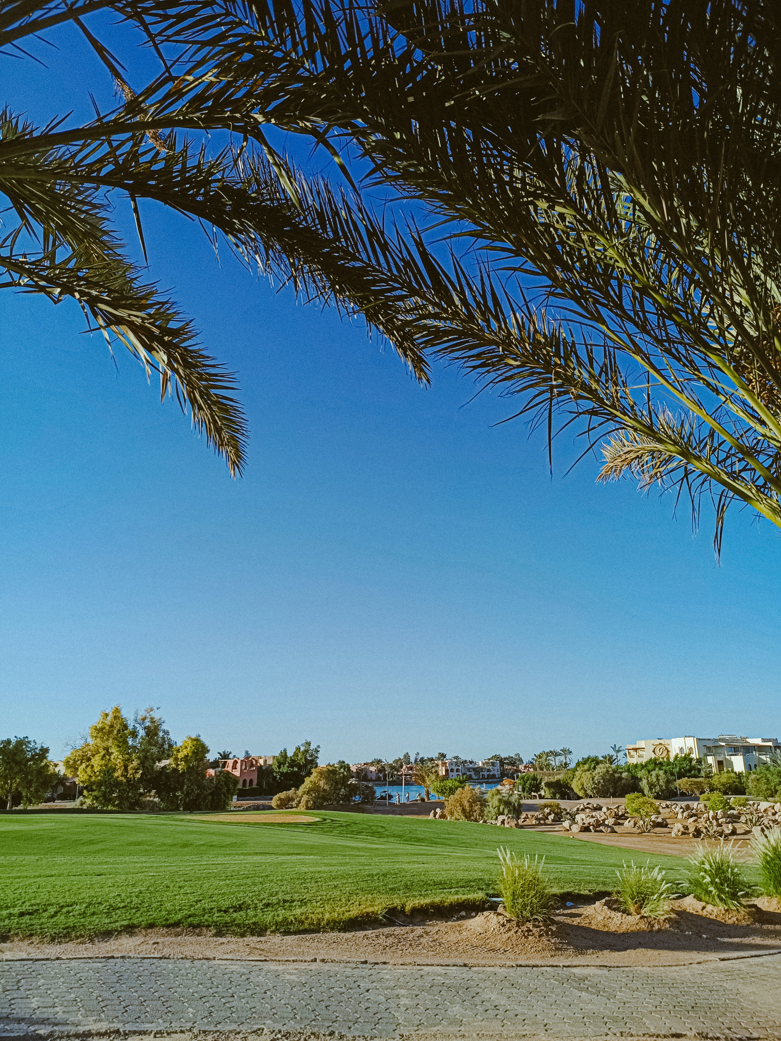 Мобильная. Jorgis — фотограф в Хургаде / обучение фотографии