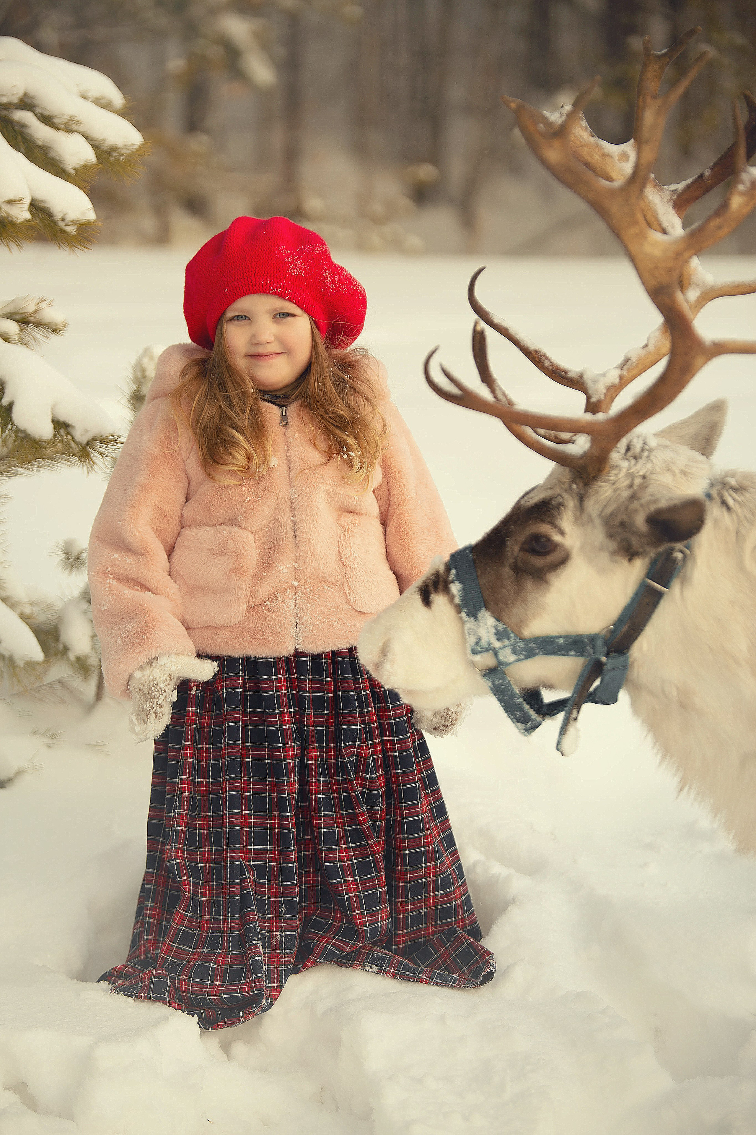 На ферме!. Индивидульный, семейный и детский фотограф в Тюмени Елена Пахомычева