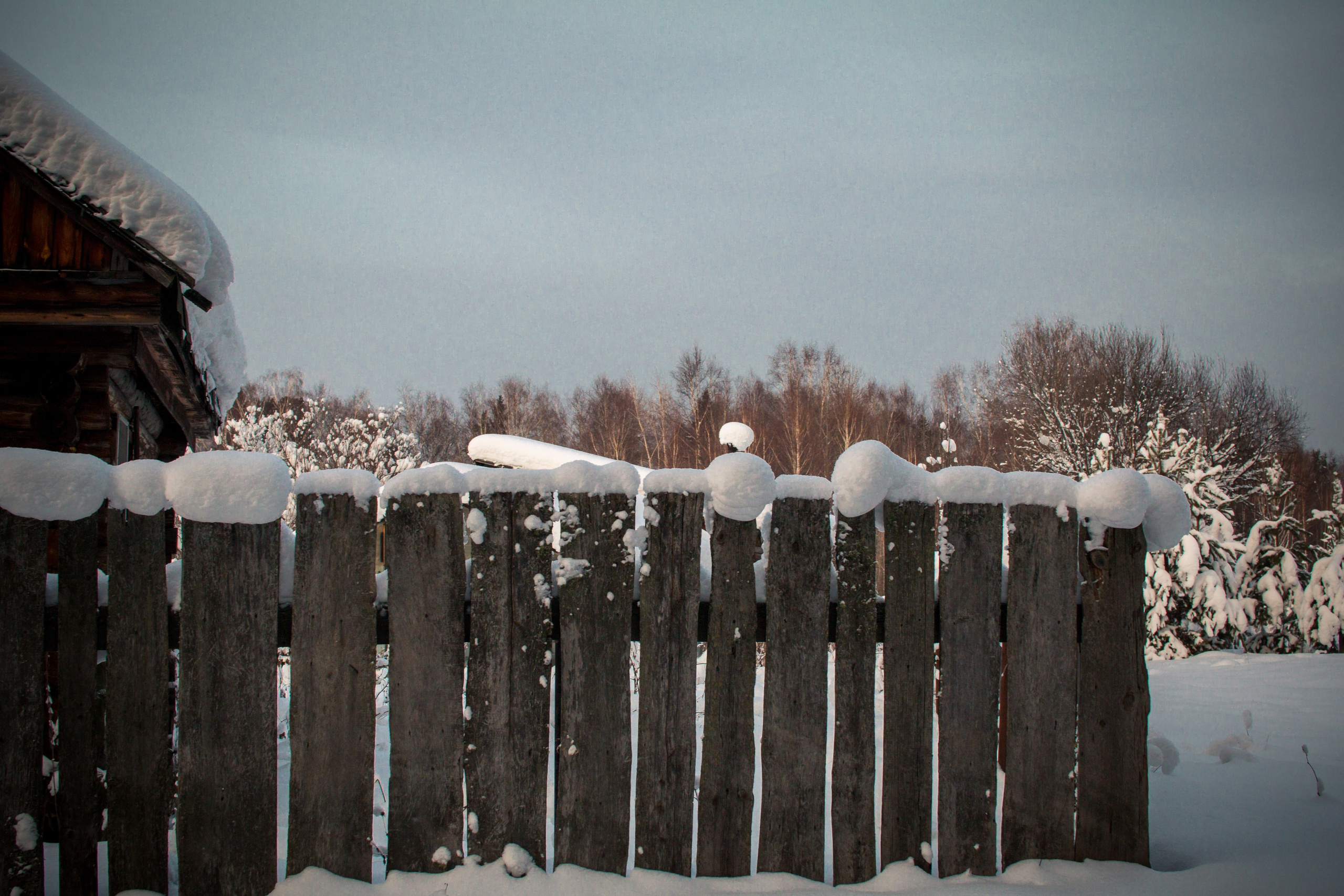 Зима. Ваш фотограф Северск | Томск