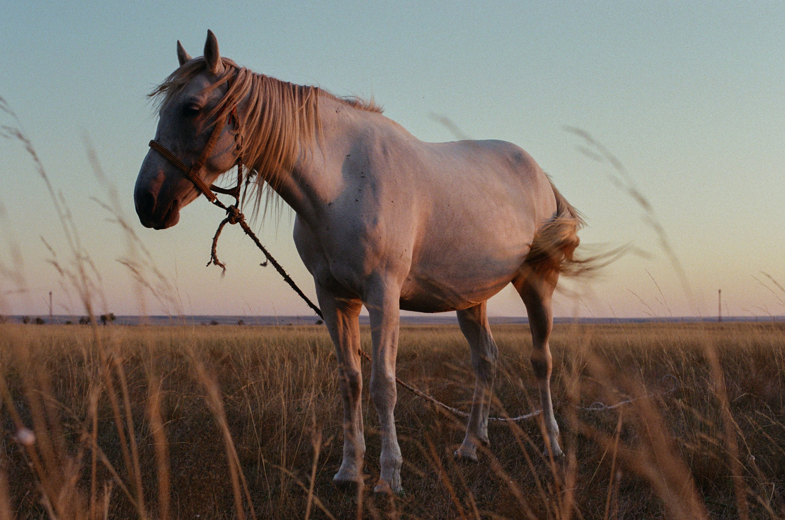 Your guardian angel // ukraine, crimea. EVER EXPOSED