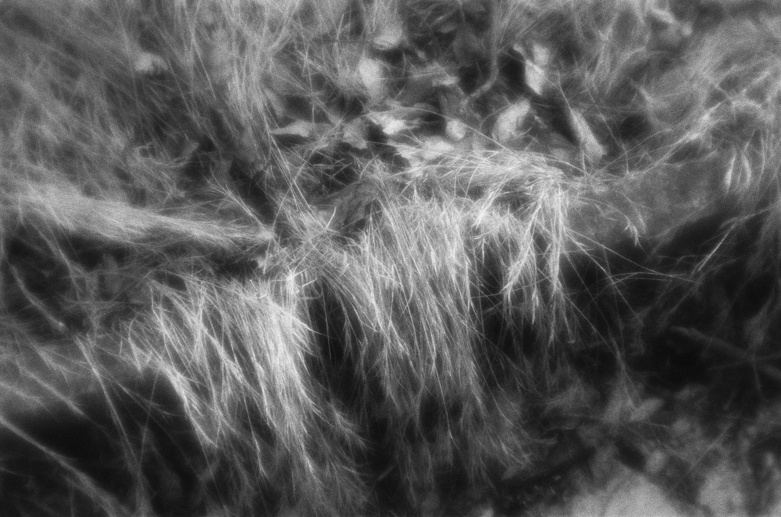 Oblomki chuvstv // ukraine, crimea VI. EVER EXPOSED