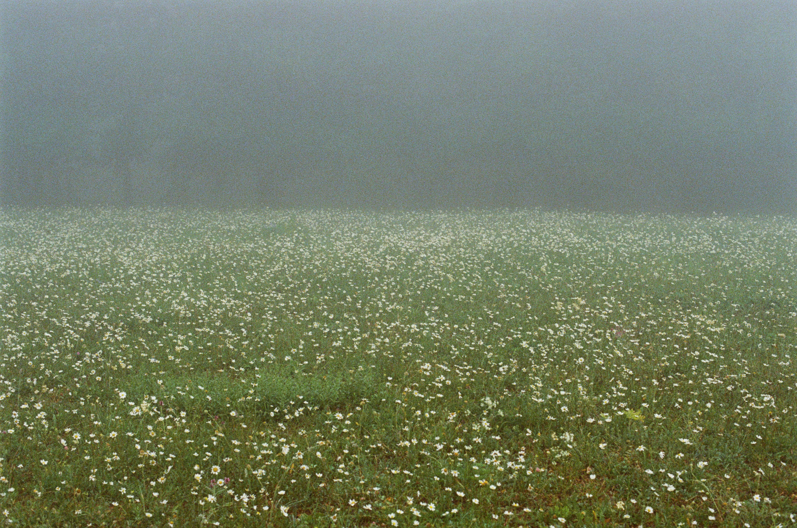 Dig it // ukraine, crimea III. EVER EXPOSED