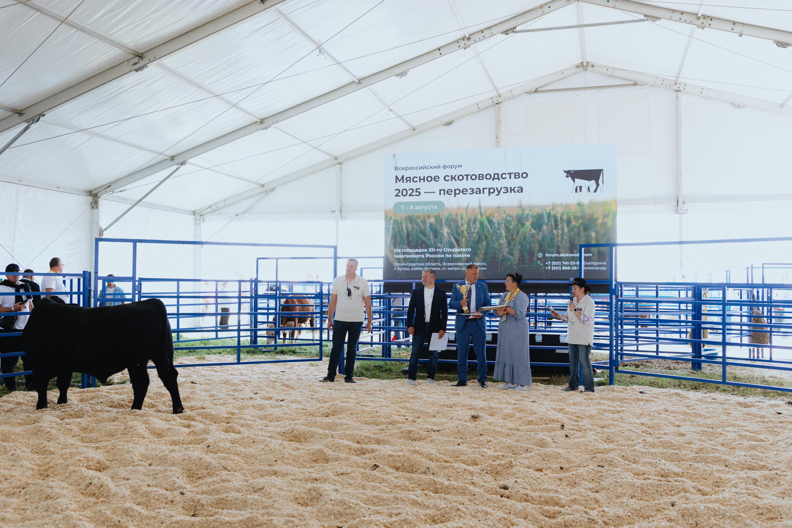 Россельхозбанк. Фотограф в Москве и Санкт-Петербурге Дарина