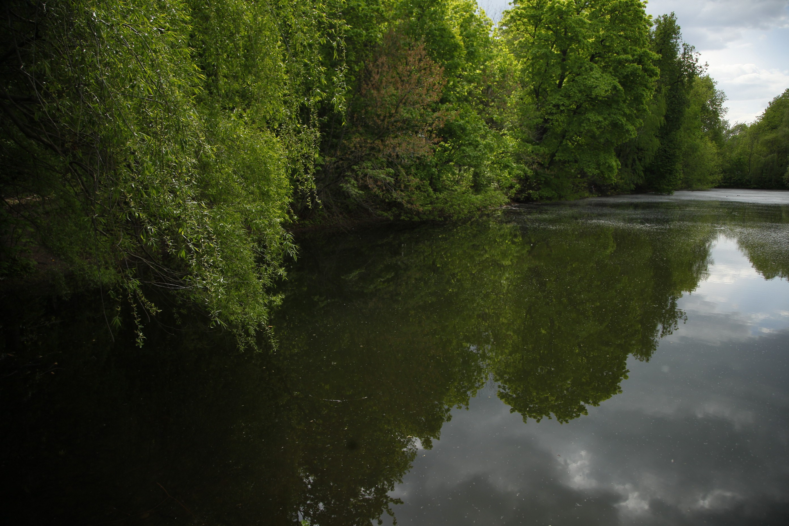 Фотосессия на природе для тебя. Ангелина Шолохова ваш индивидуальный фотограф, город Москва