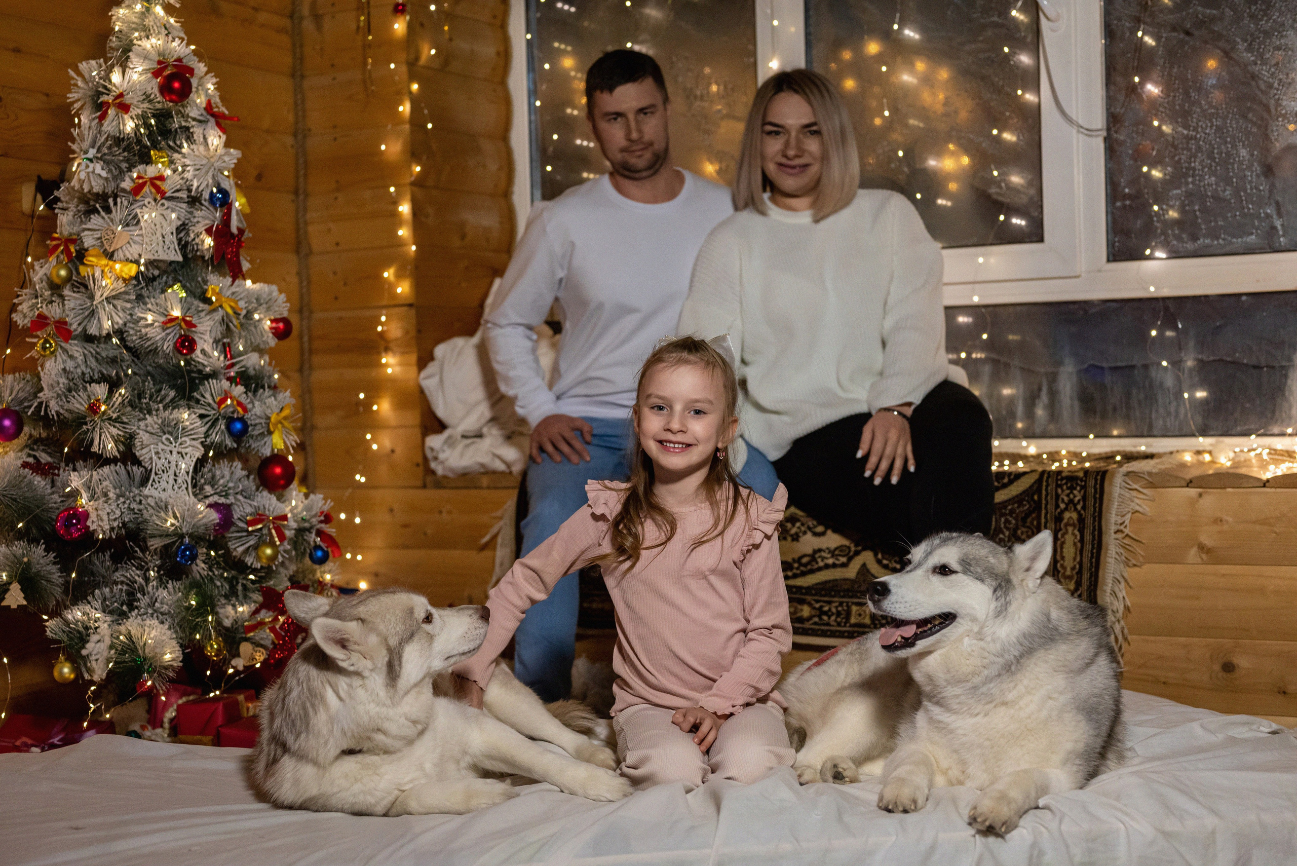 Фотопроект с хаски 2024 г. Фотограф в городе Салават