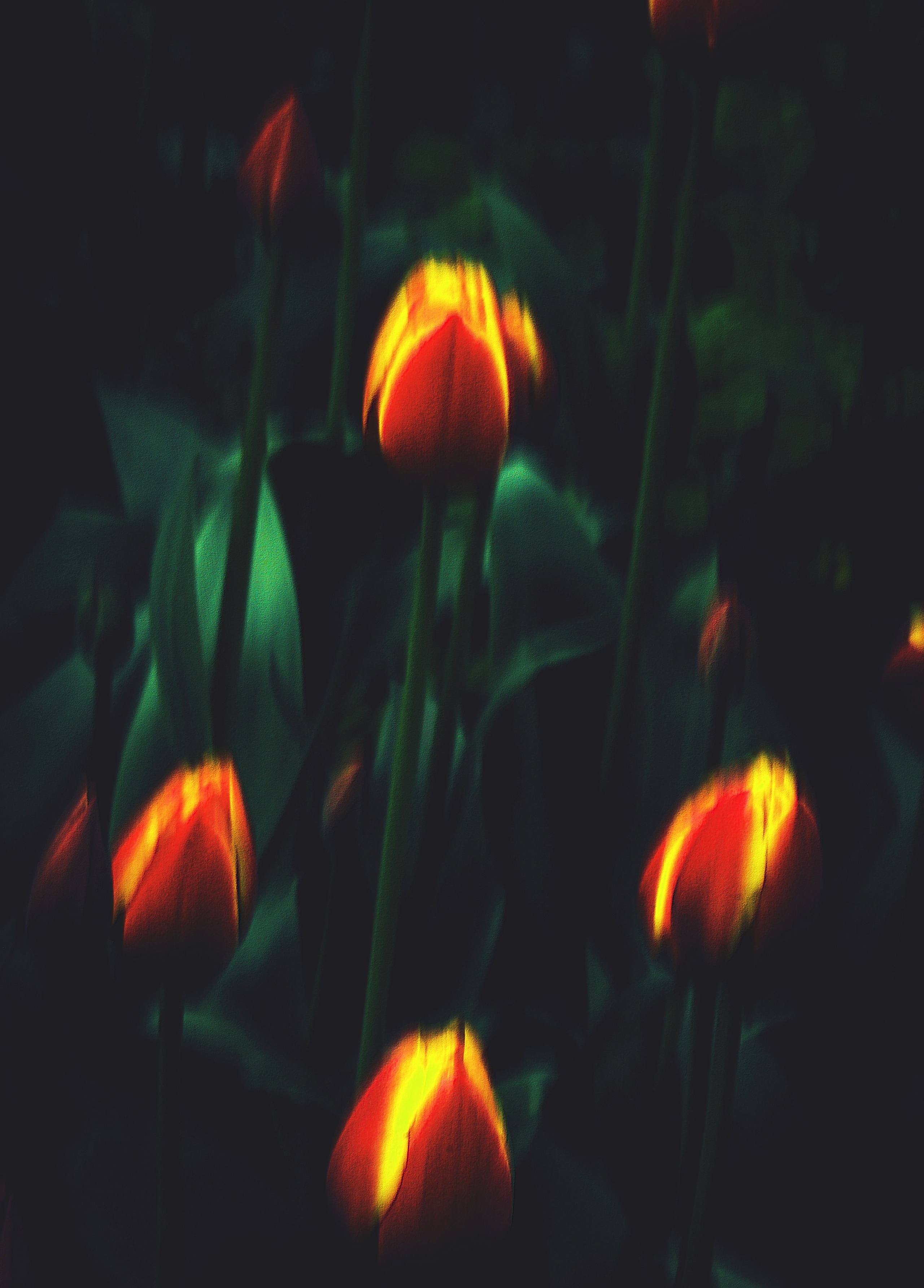 Природа &. Фотохудожник в СПб