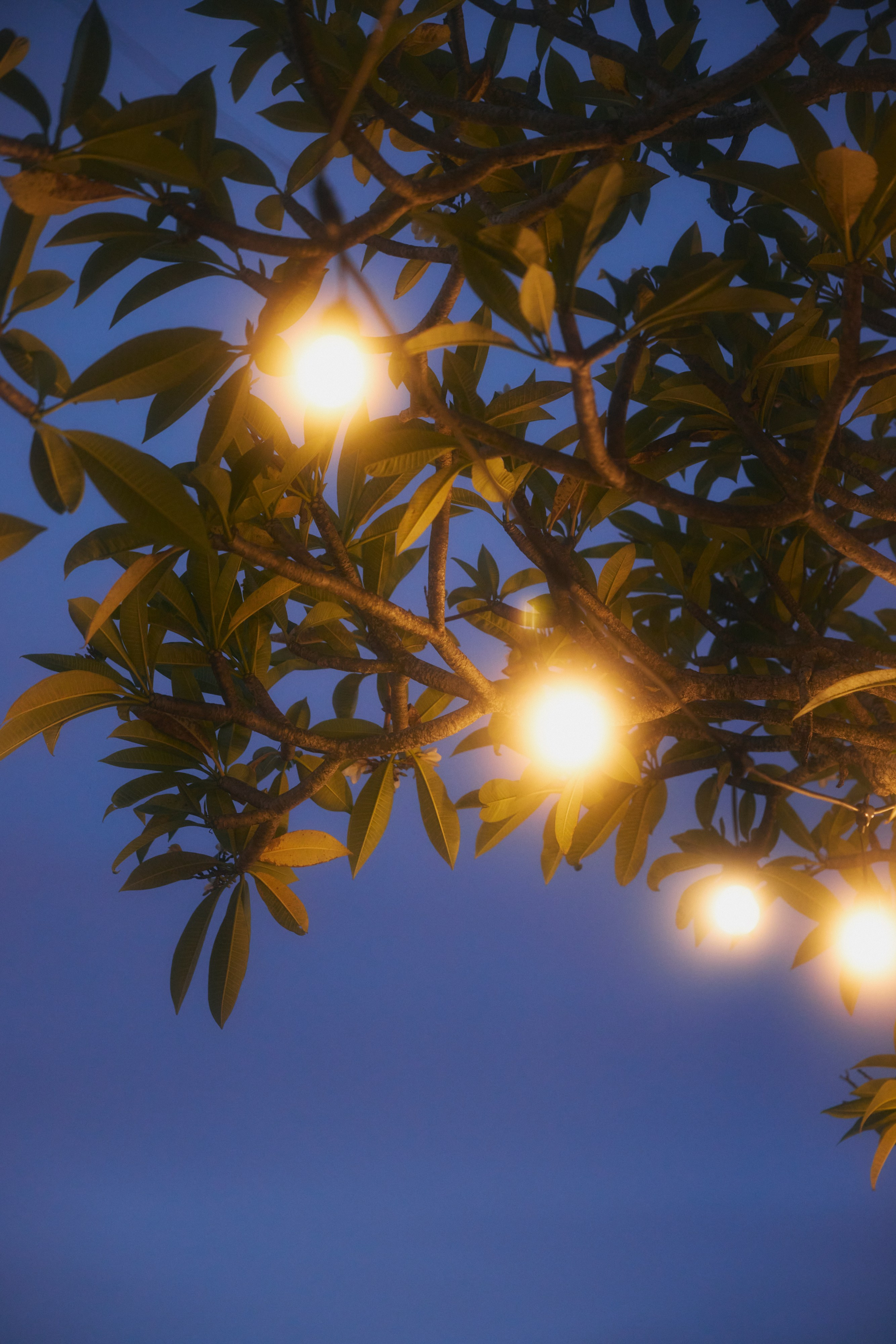 Ретрит Бали '26 «Be Your Own Muse»Март. Профессиональный фотограф Татьяна Евглевская