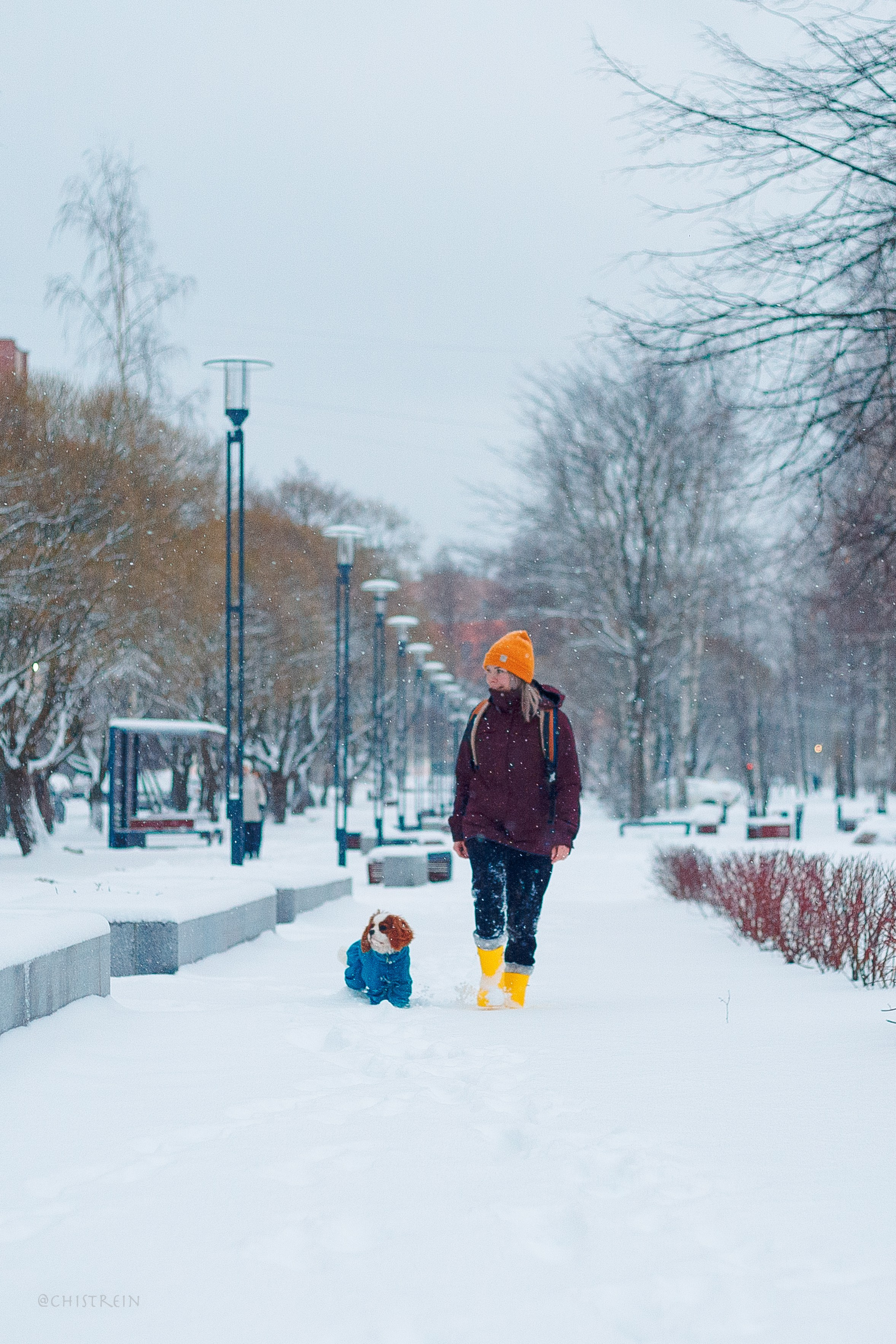 Внезапно апрельская зима. Фотограф-анималист Наталия Чистюхина в г. Сосновый Бор и ЛО