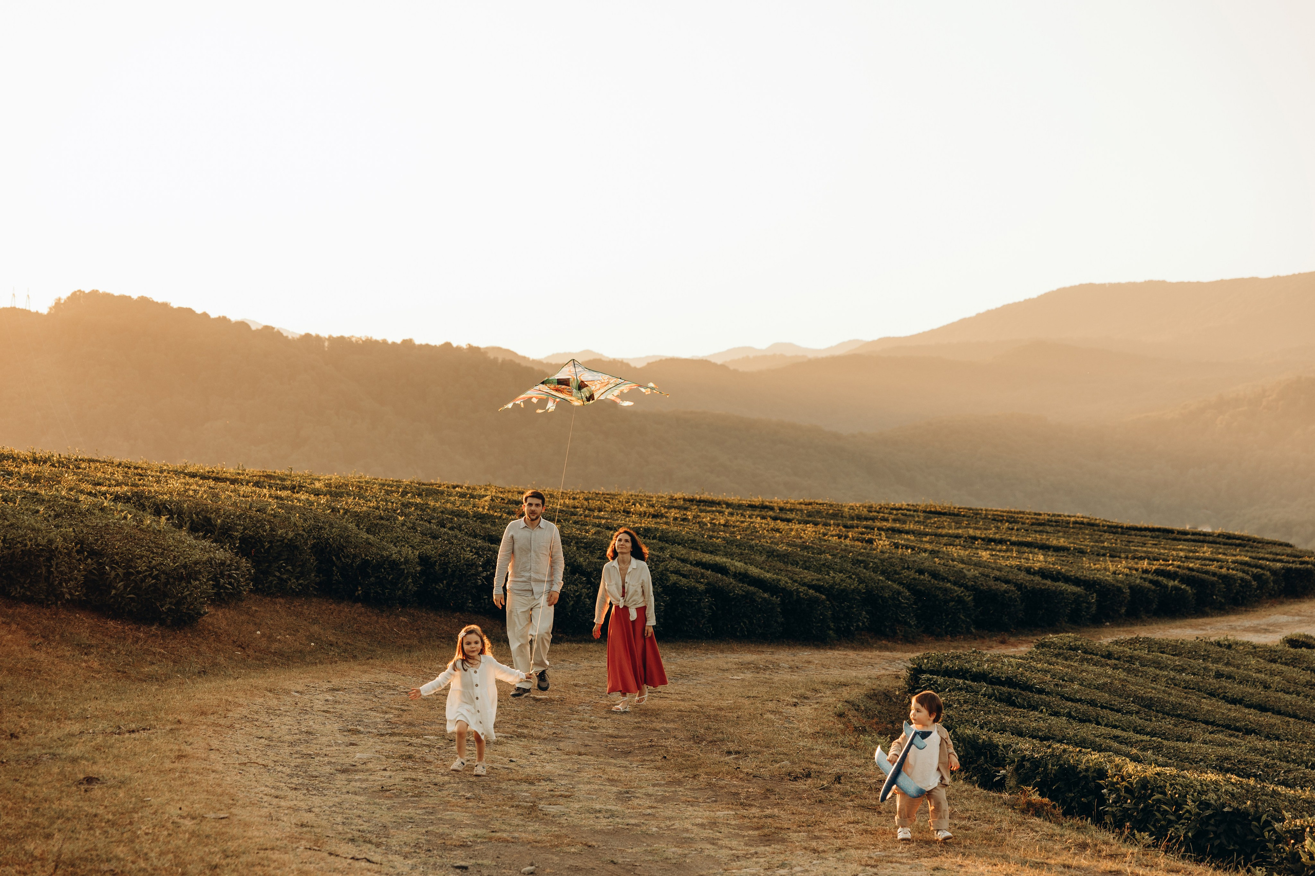 Чайные плантации. Семейный фотограф в Сочи Лашманова Ольга