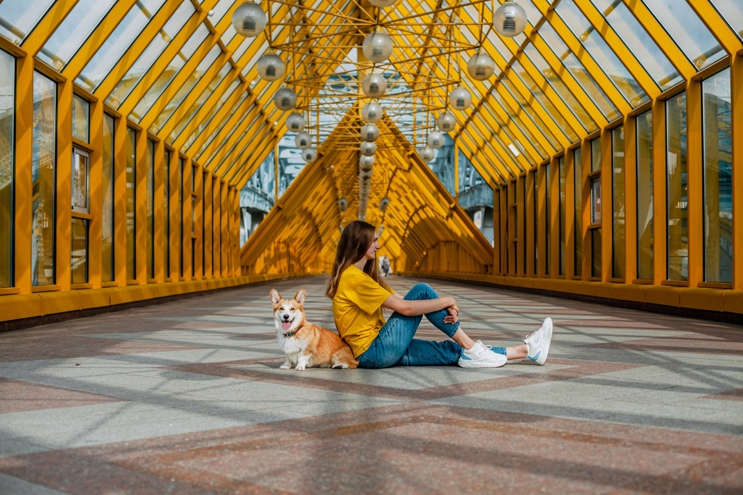 Андреевский мост. Фотограф-анималист Татьяна Степанова