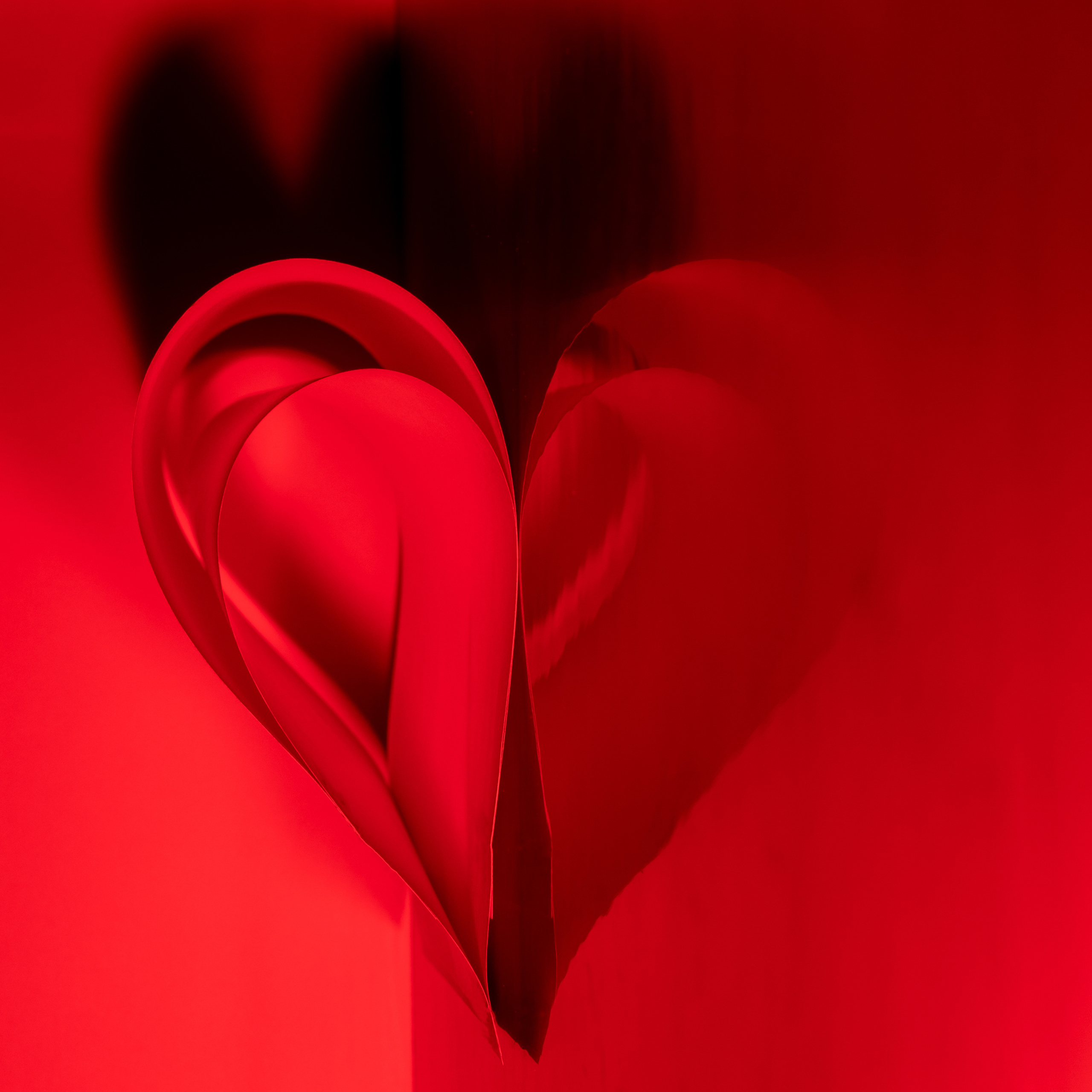 Предметная съемка бумаги. Фотография. Юрий Савин