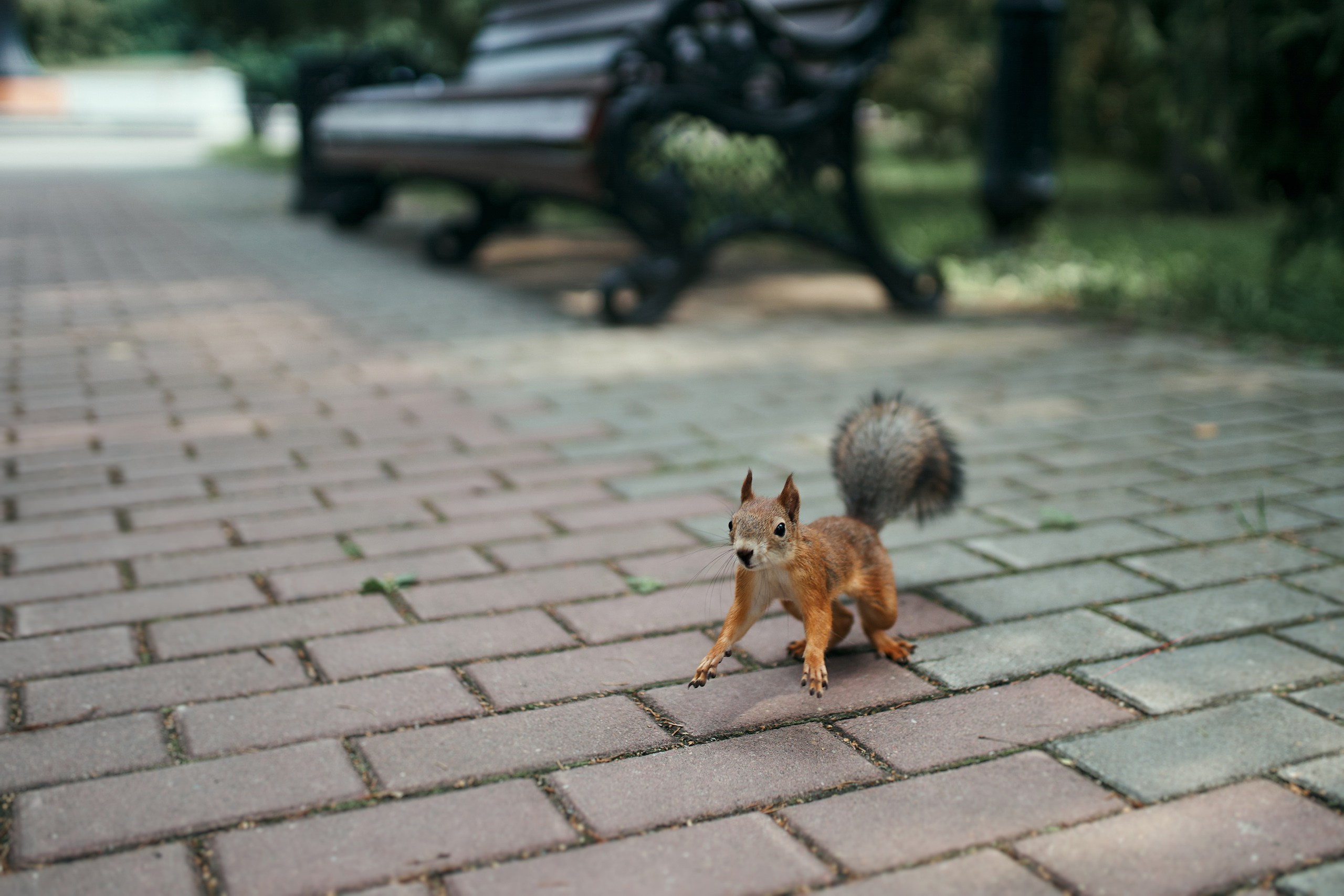 Тру зайки | Максим и Аня. Фотограф Слава Кайгородов