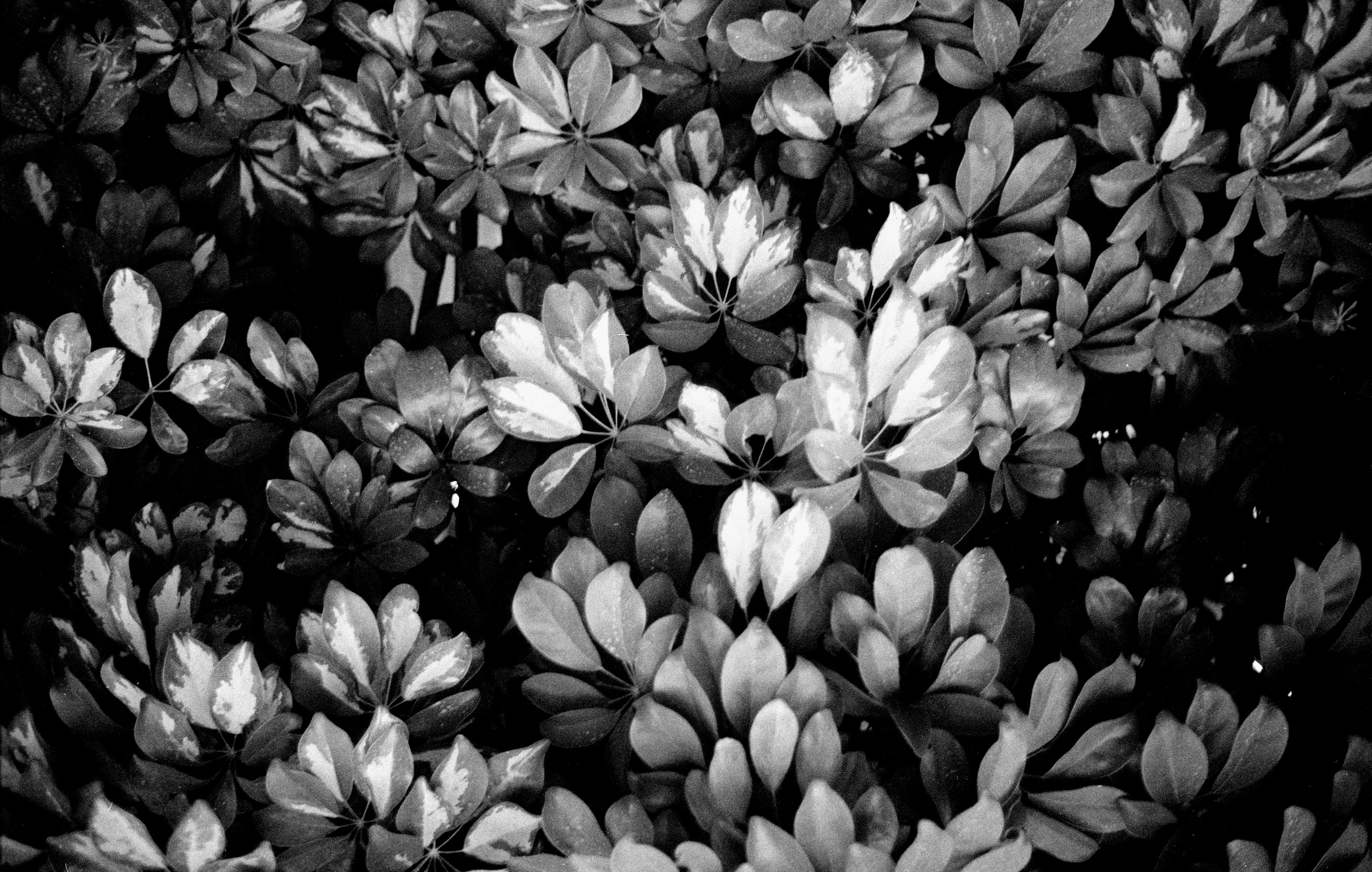 Porto 2023. Dima Voronetsky