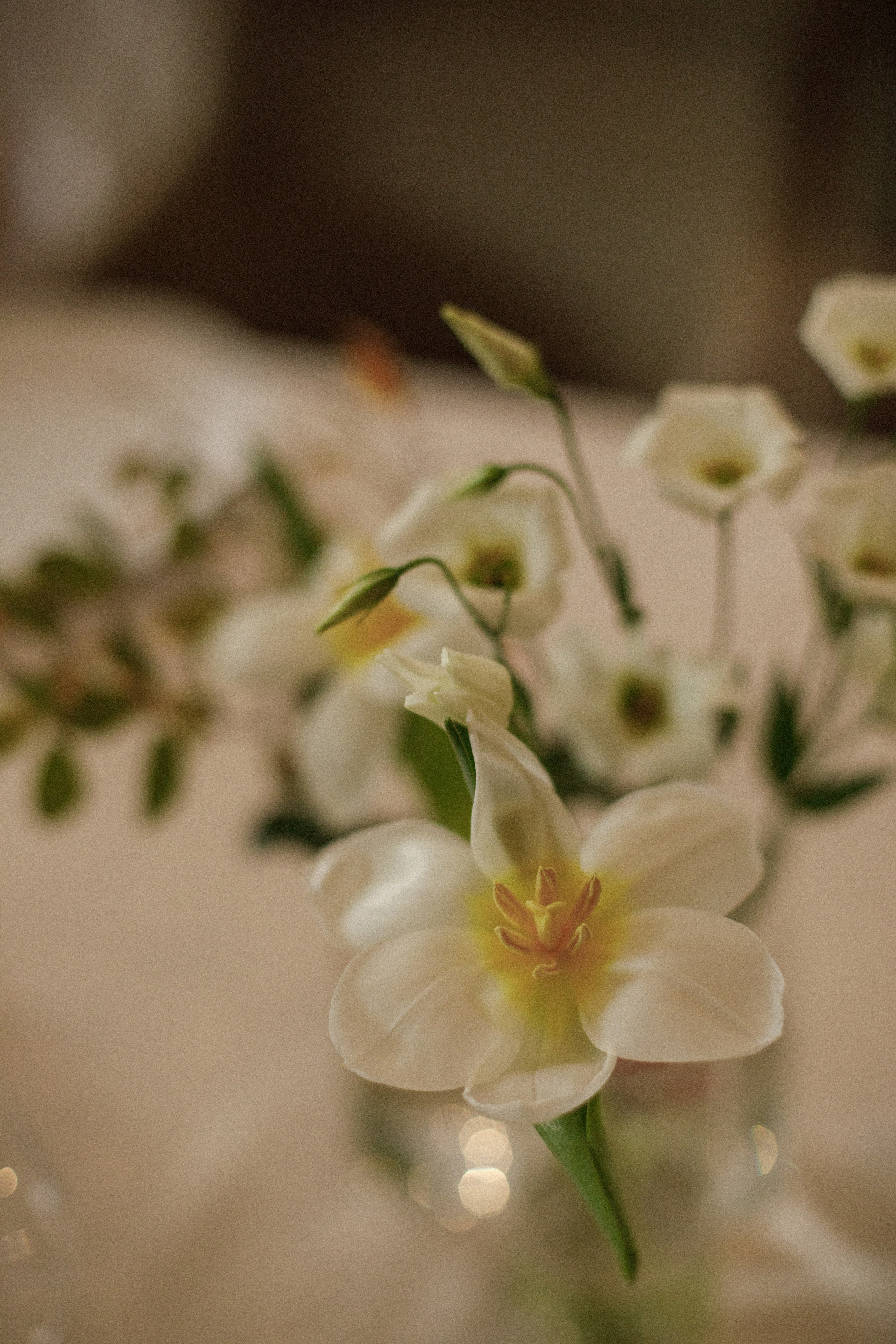 Вика + Влас. Свадебный фотограф Наташа Анисенко