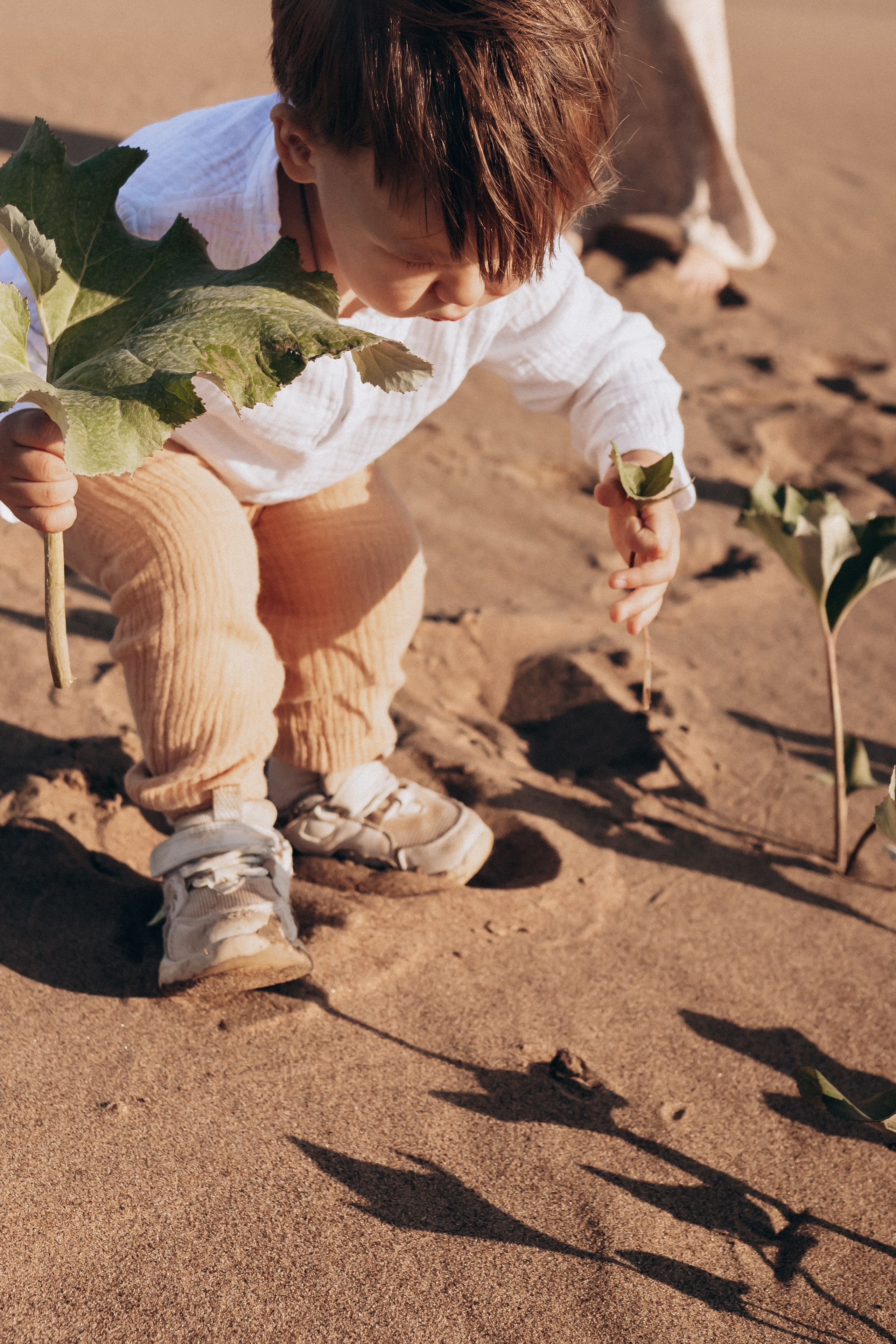 Лето, пляж. ФОТОГРАФ | Сыктывкар