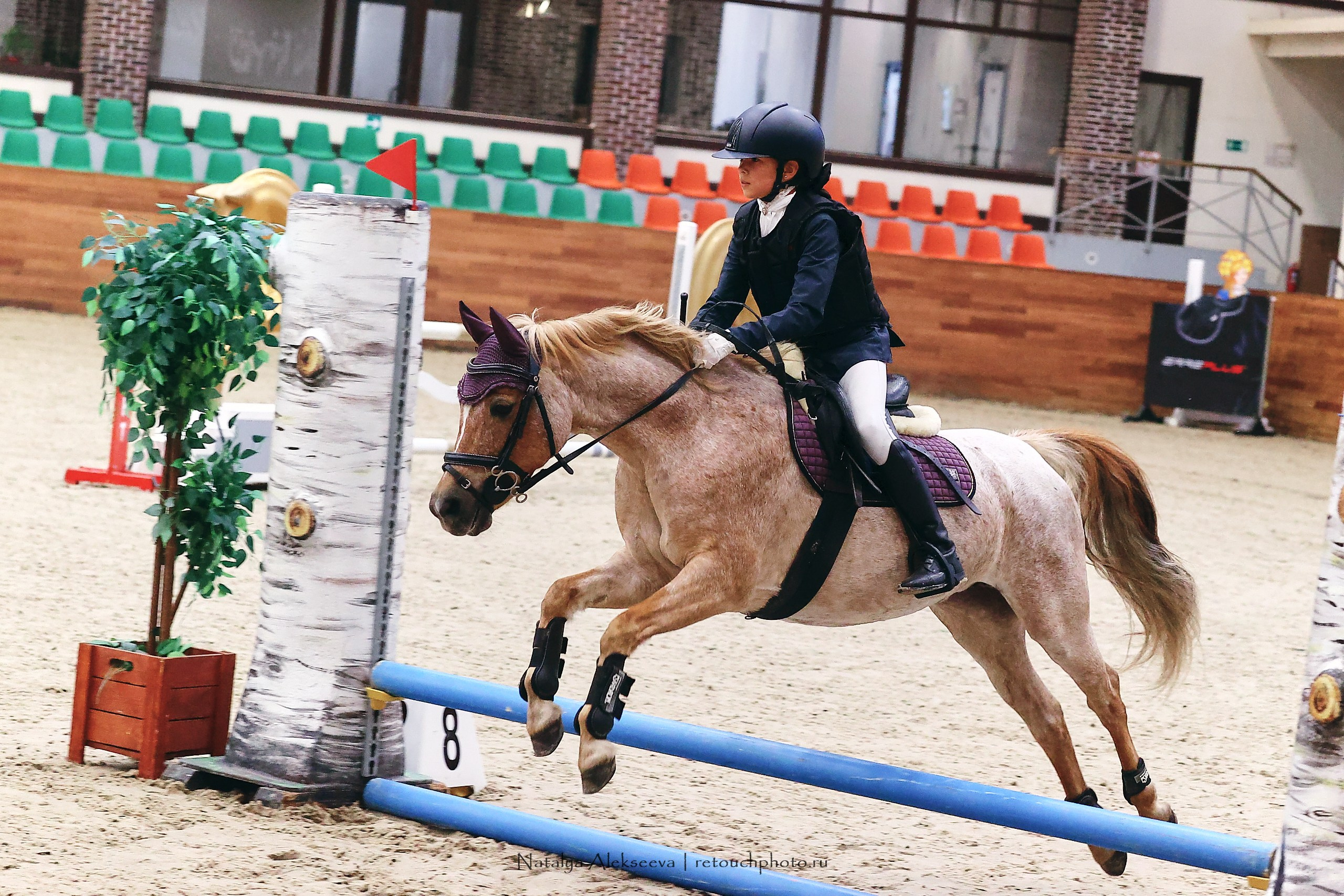 Финал Maxima Park по конкуру, Maxima Stables | 10'2023. Репортажный фотограф и ретушер в Москве Наталья Алексеева