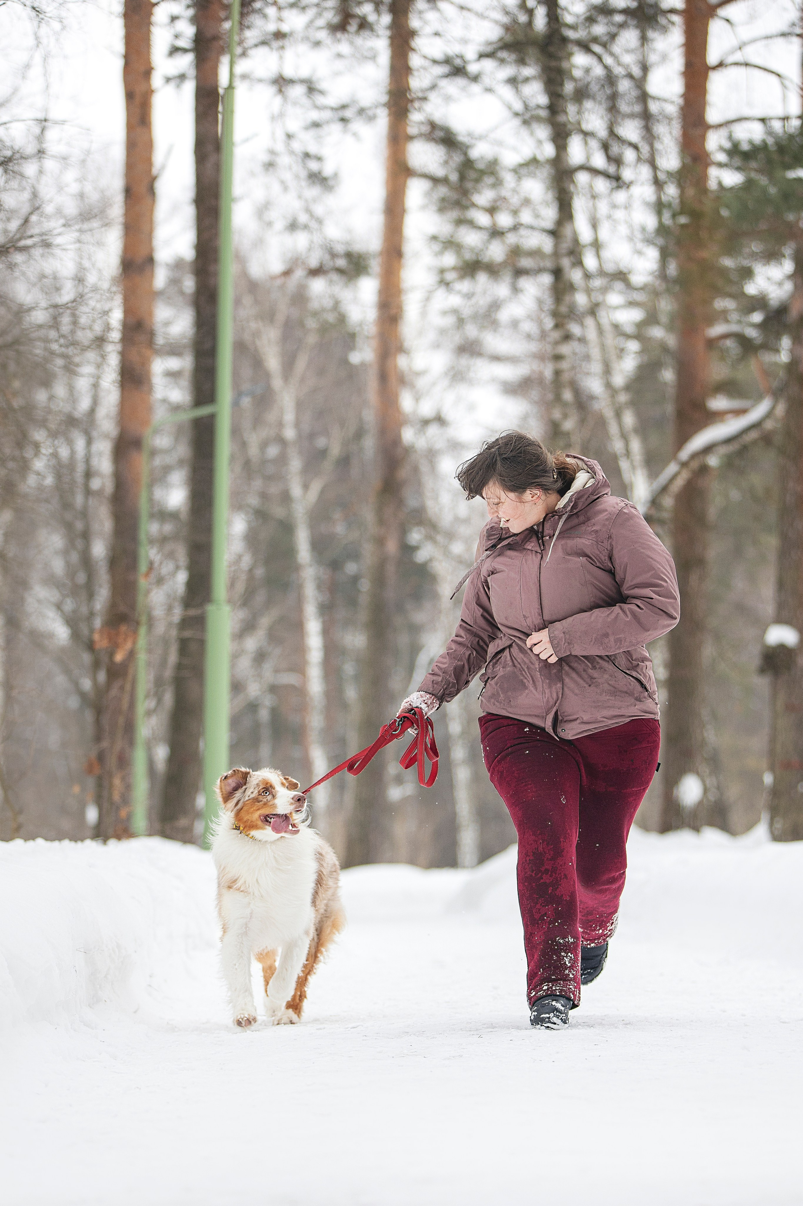 Дария, Макс, Сезам и Чили. Фотограф анималист в Москве Майорова Евгения