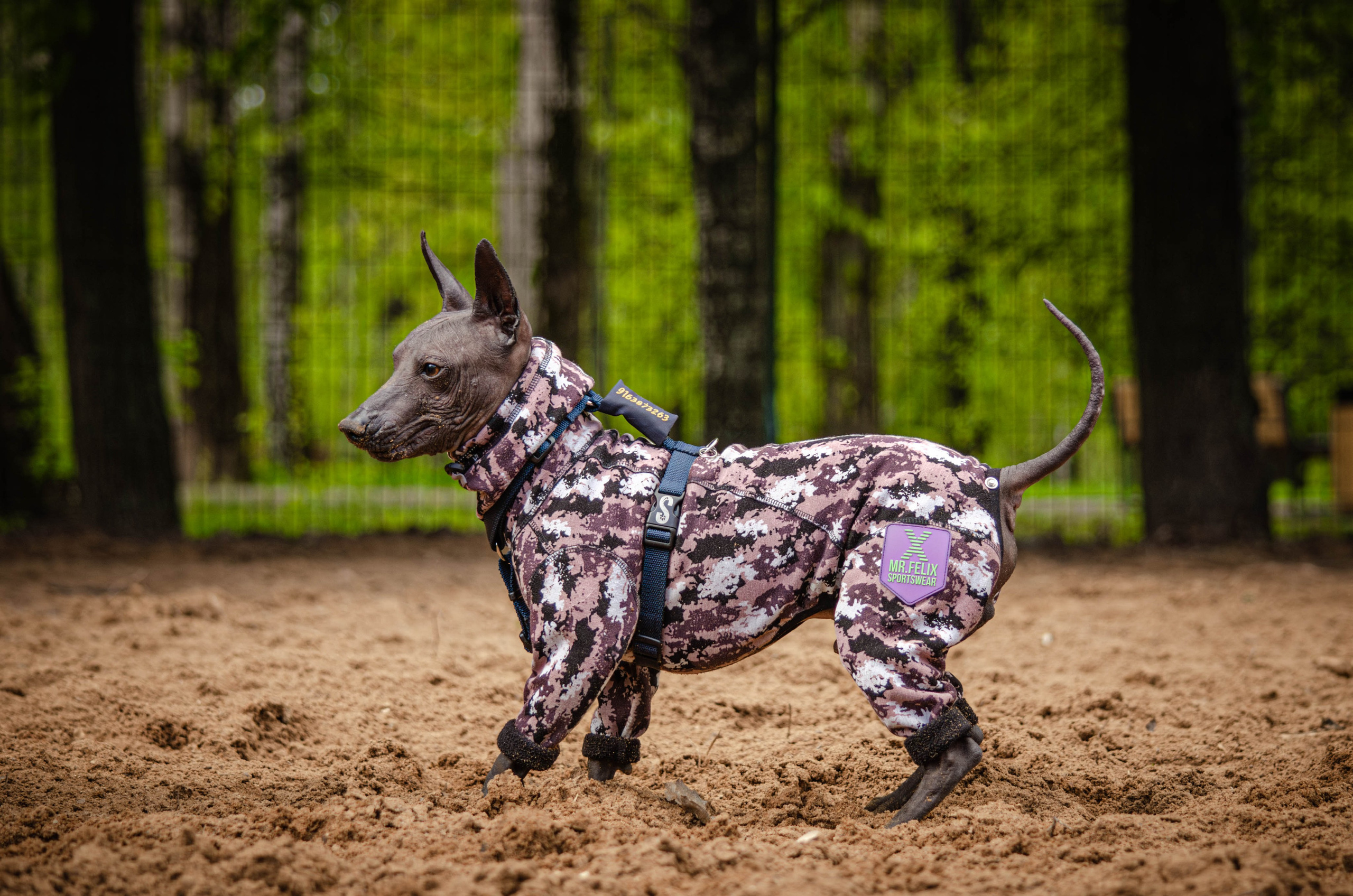 Сёма. Фотограф Светлана Блинова, Москва и Московская область