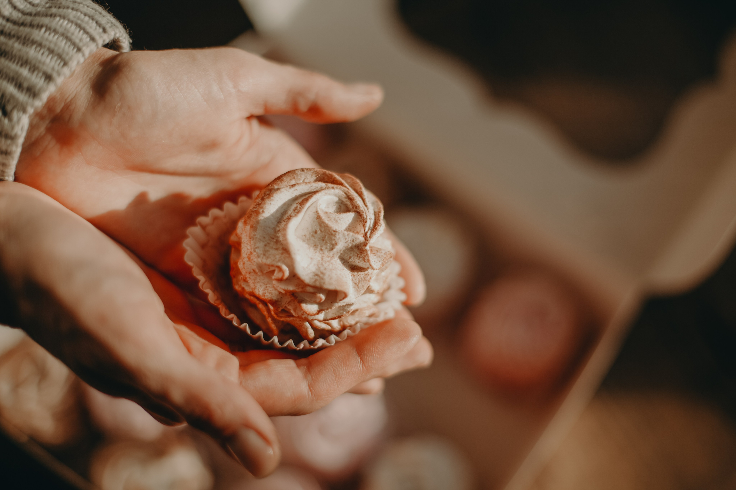 Контент. Фотограф Эльвина Серафимова