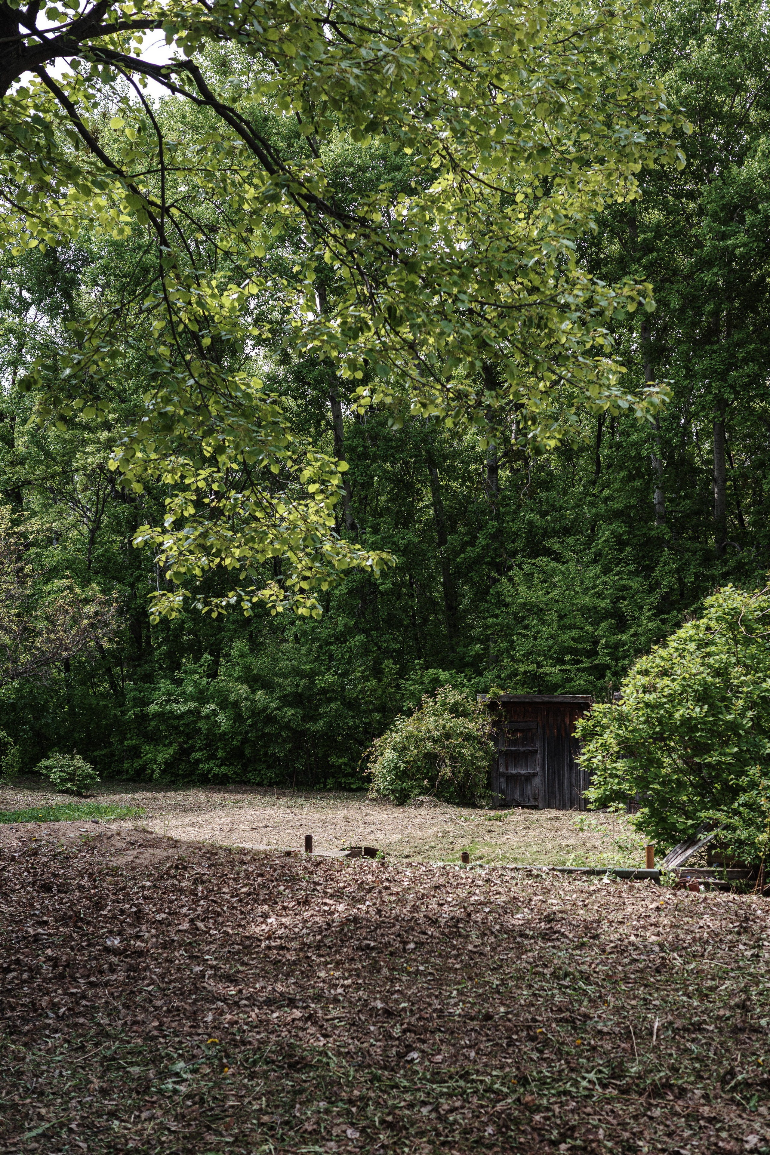 С Димой Уссурийский остров. Фото журналист