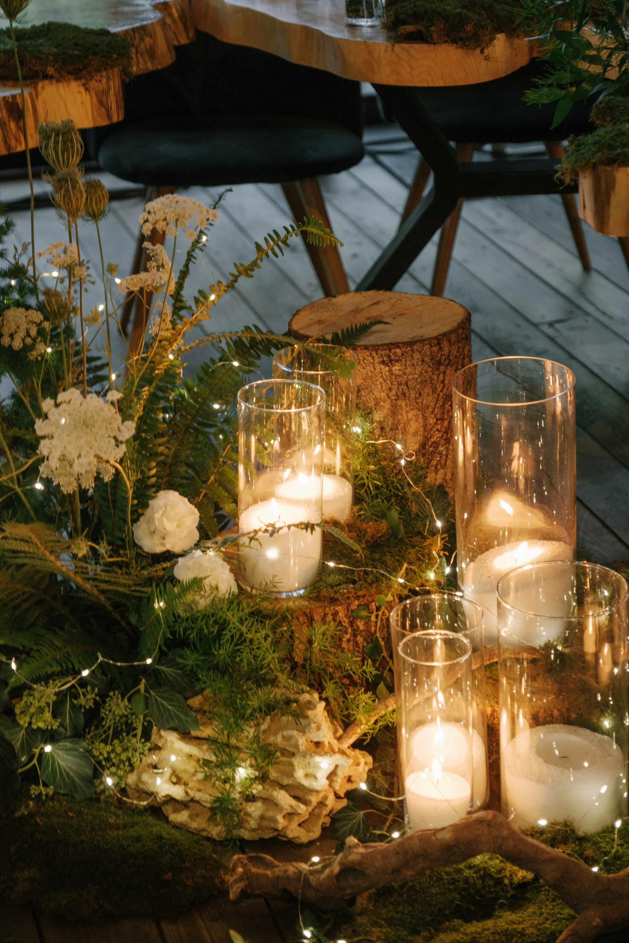 Кот и Дракон. Свадебный Видеограф Фотограф в Сочи