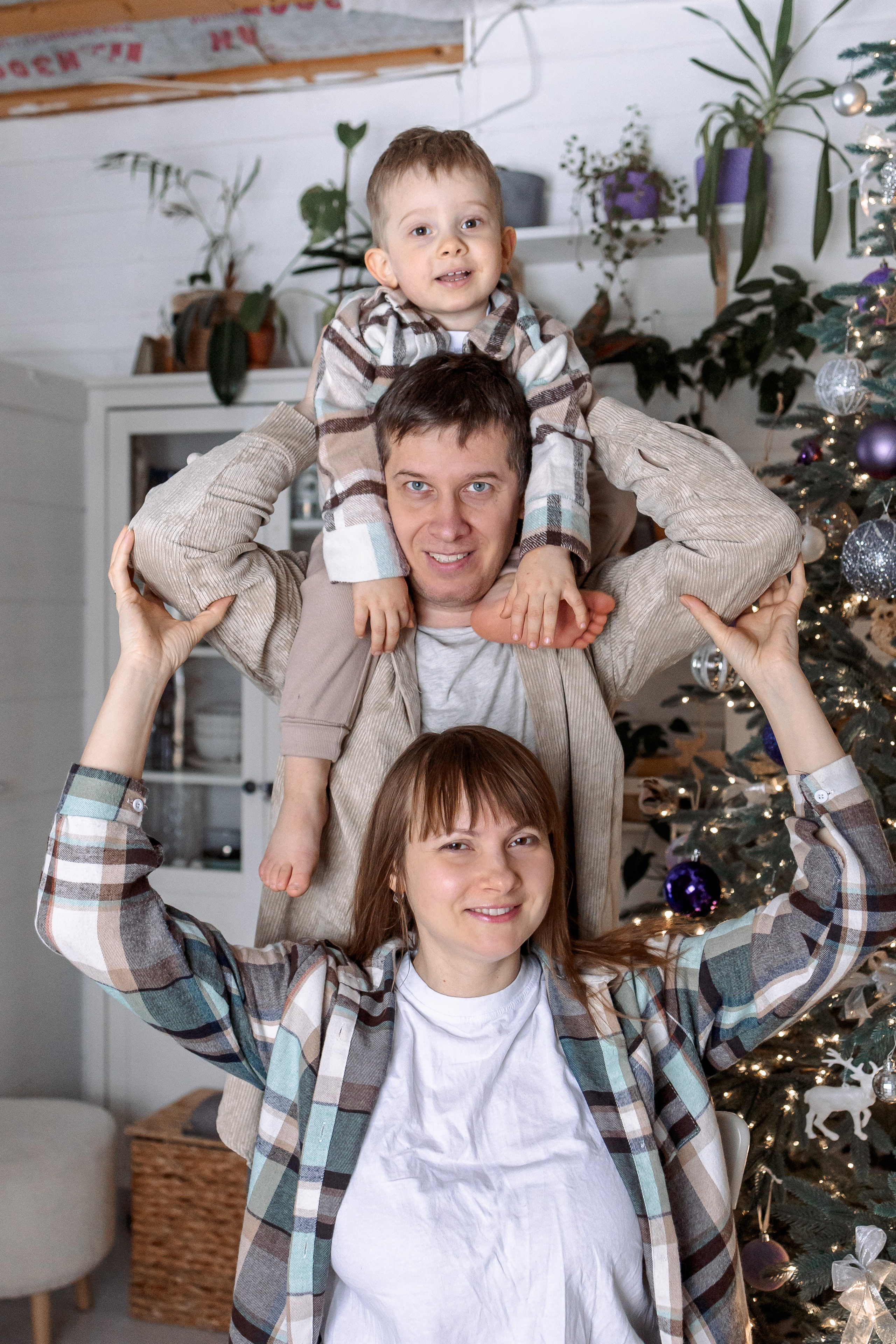 Домашняя новогодняя история