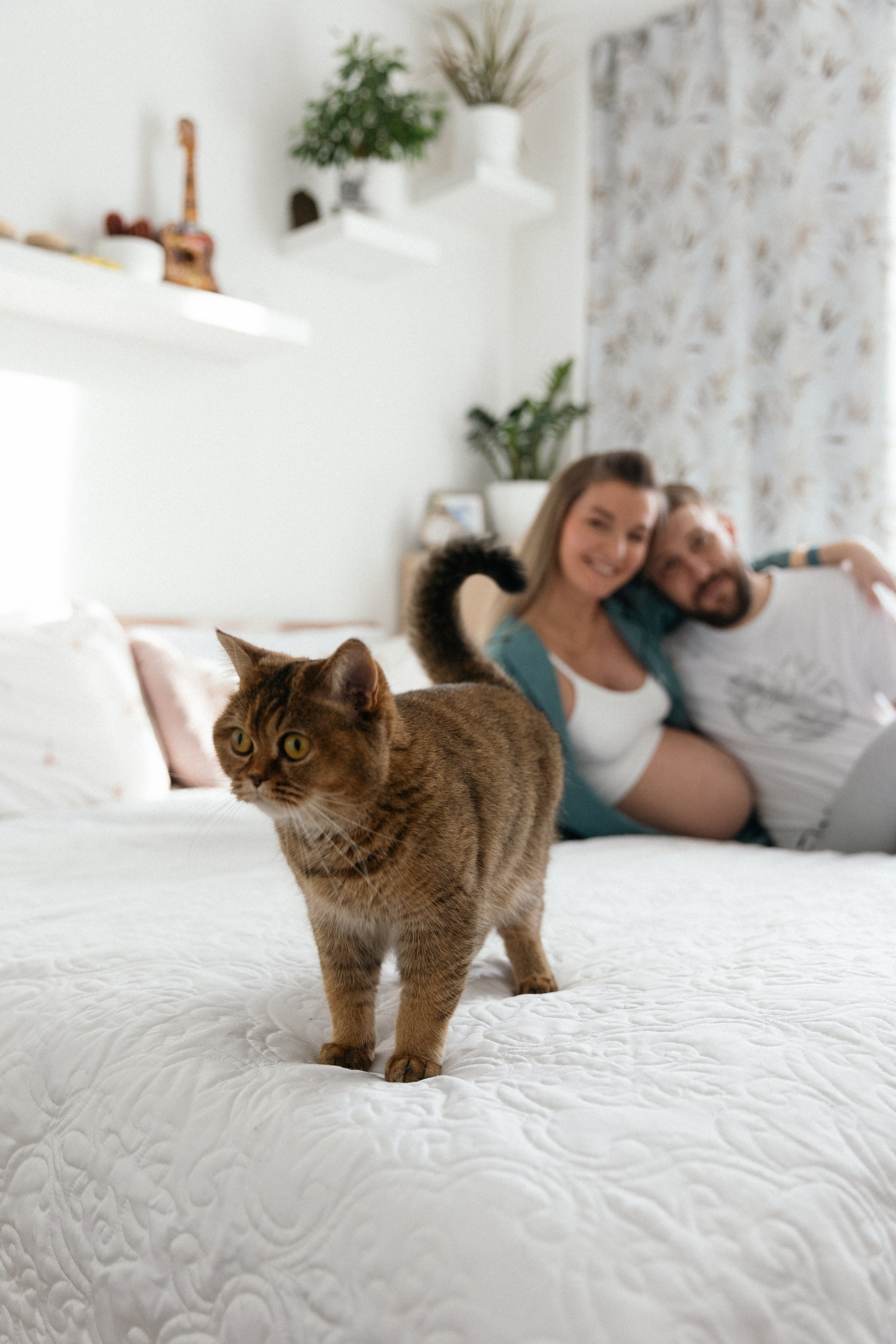 Семейная домашняя фотосессия беременности. Свадебный фотограф в Москве Полина Лелетко