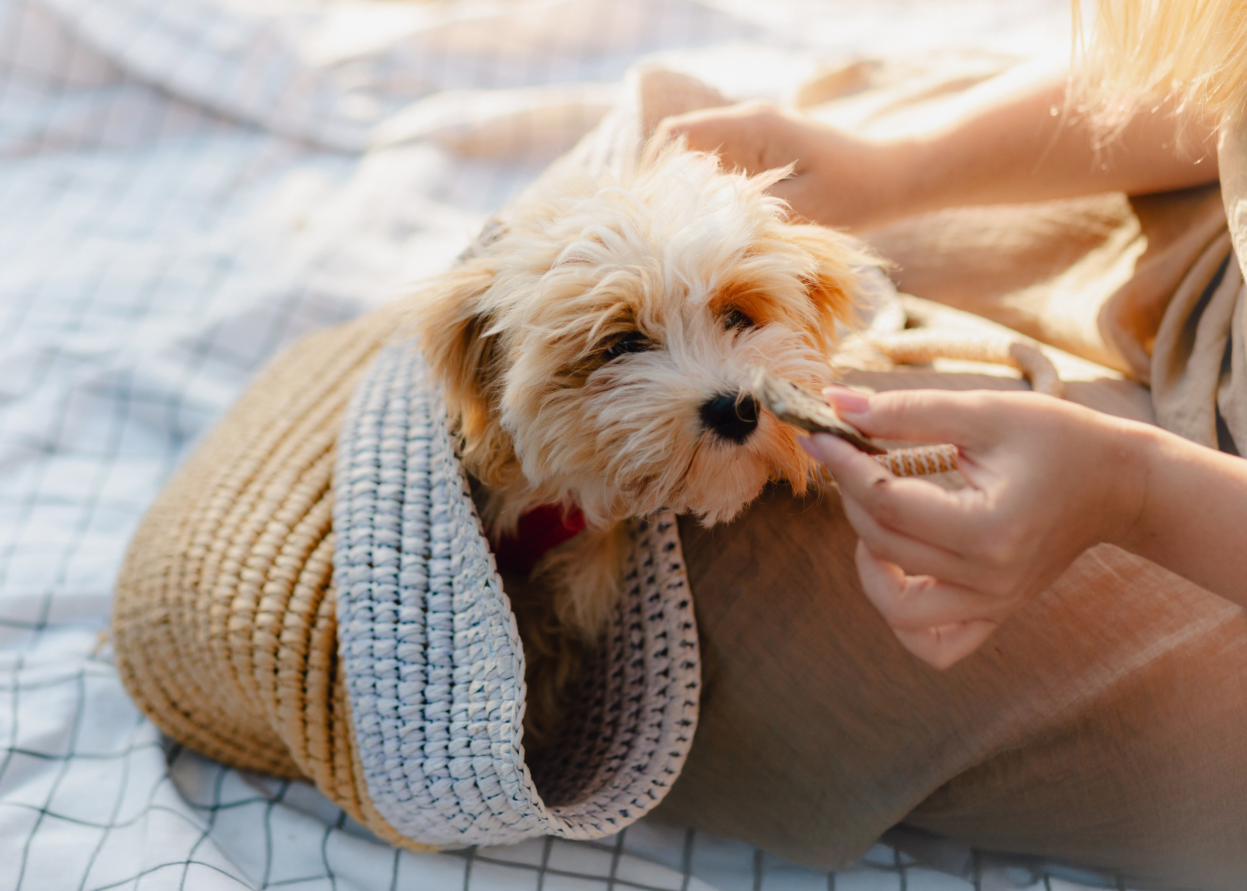 J&J Family. Barbara Isaeva