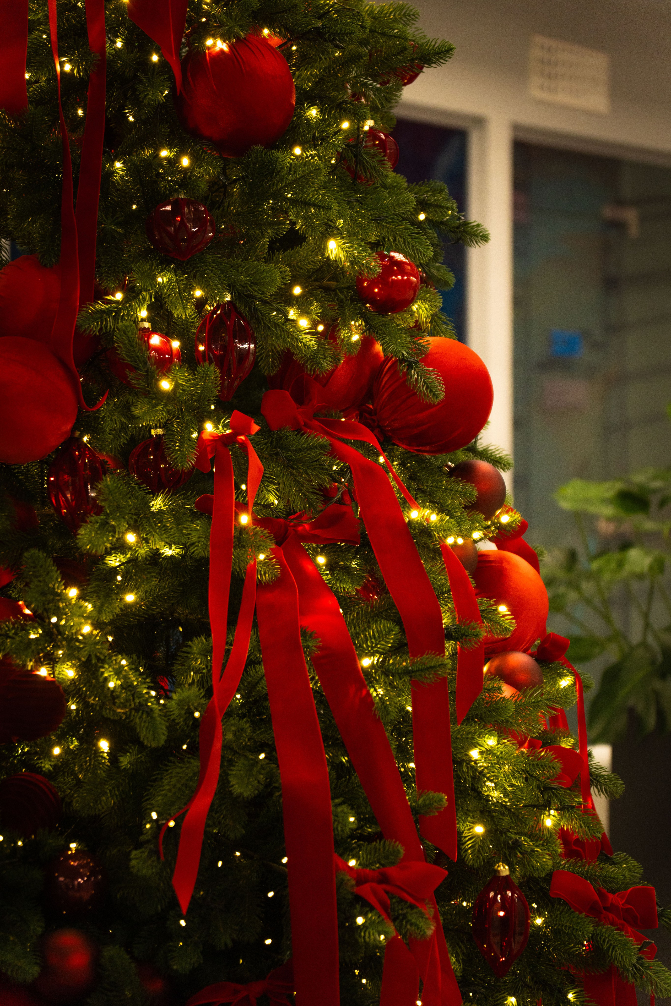 Декор РЖД. Фото и видео съёмка в Москве и МО Александр Чапала и Трояк Алеся