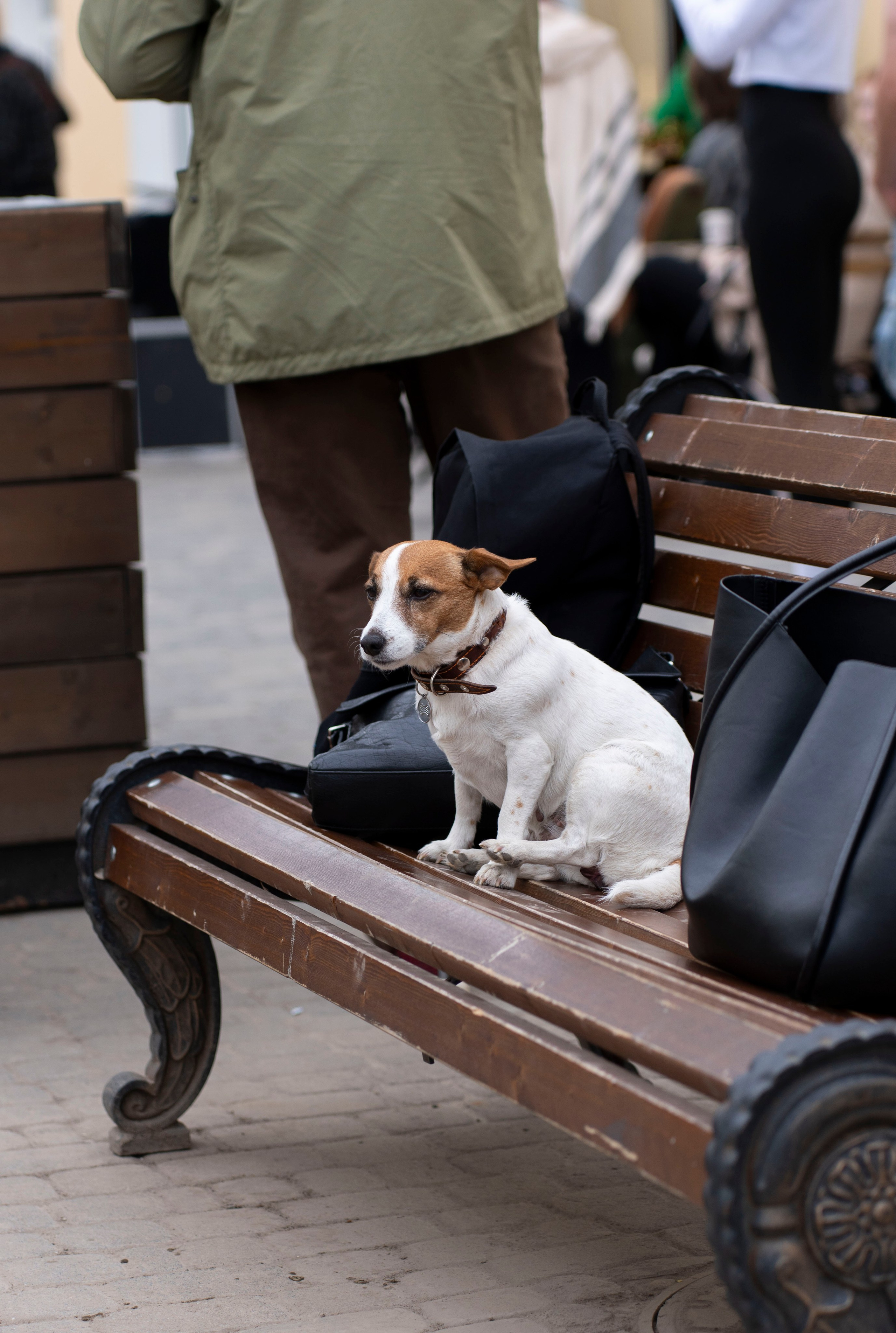 Проект к 650-ти летию города Кирова. Фотограф Киров Токарева Марина