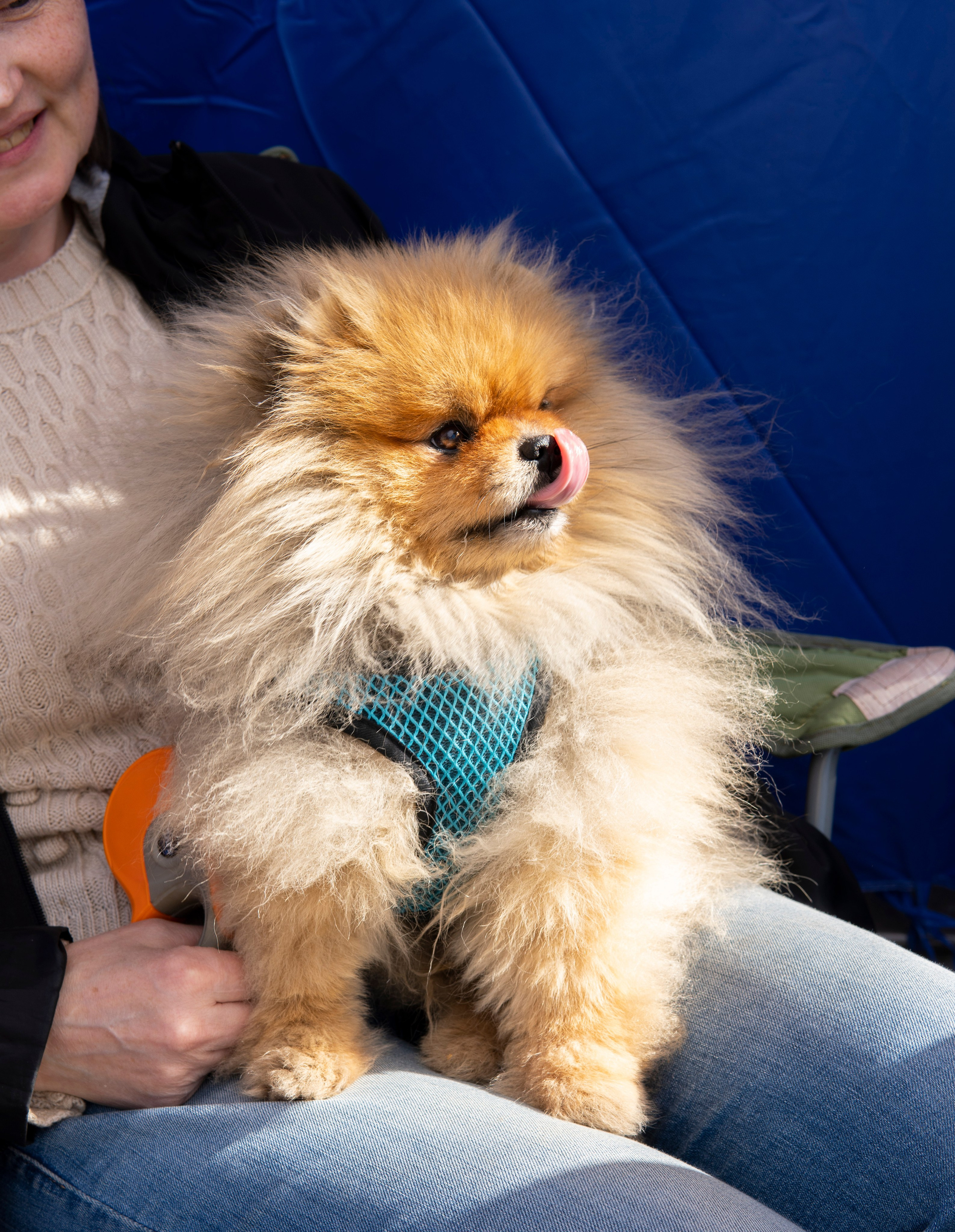 Проект к 650-ти летию города Кирова. Фотограф Киров Токарева Марина