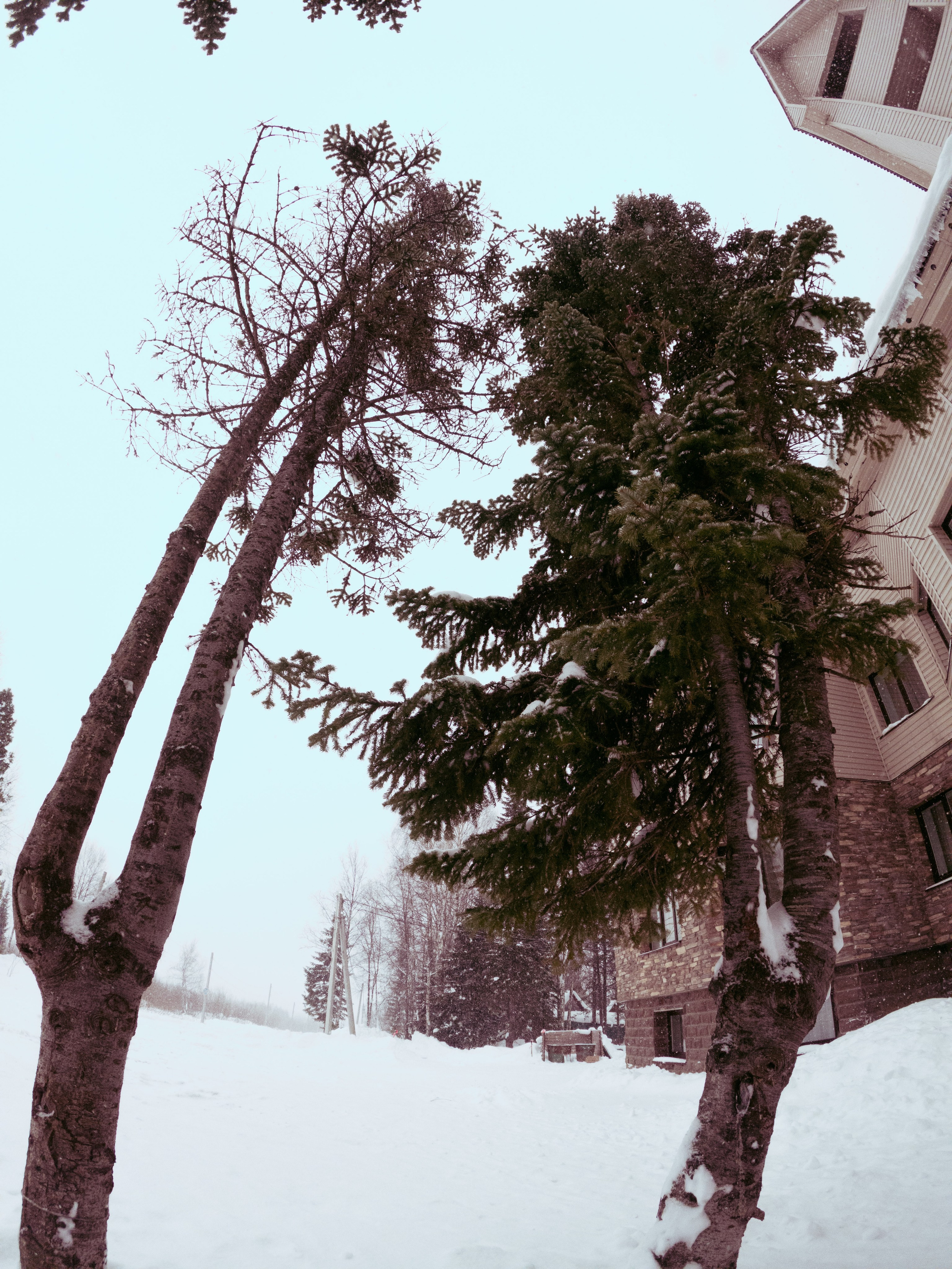 Sheregesh \ november 2024 \ GOPRO. Коммерческий Фотограф Виктор Фоменых