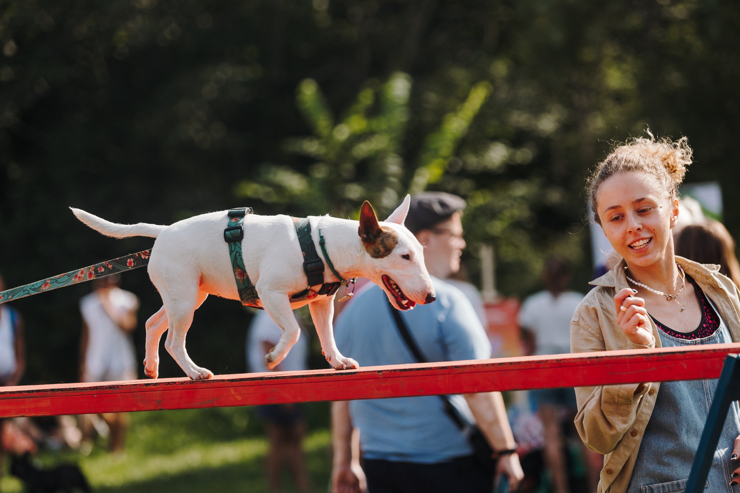 Petshop Sup day. Фотограф анималист Кристина Карпова, Москва
