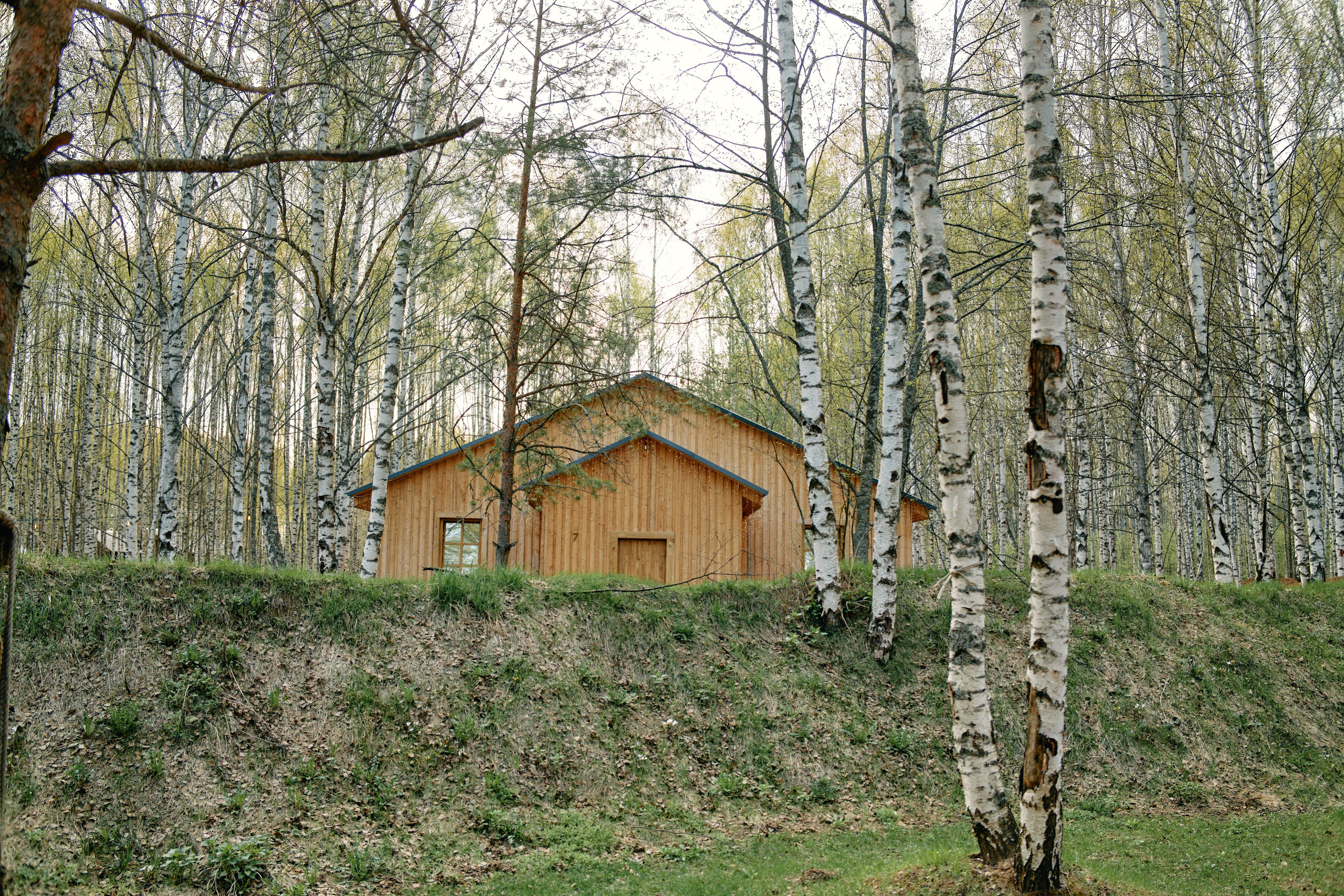 Бутик-отель Поле летом. Профессиональный Фотограф во Владимире, в Москве и в Суздале — Полина Романычева