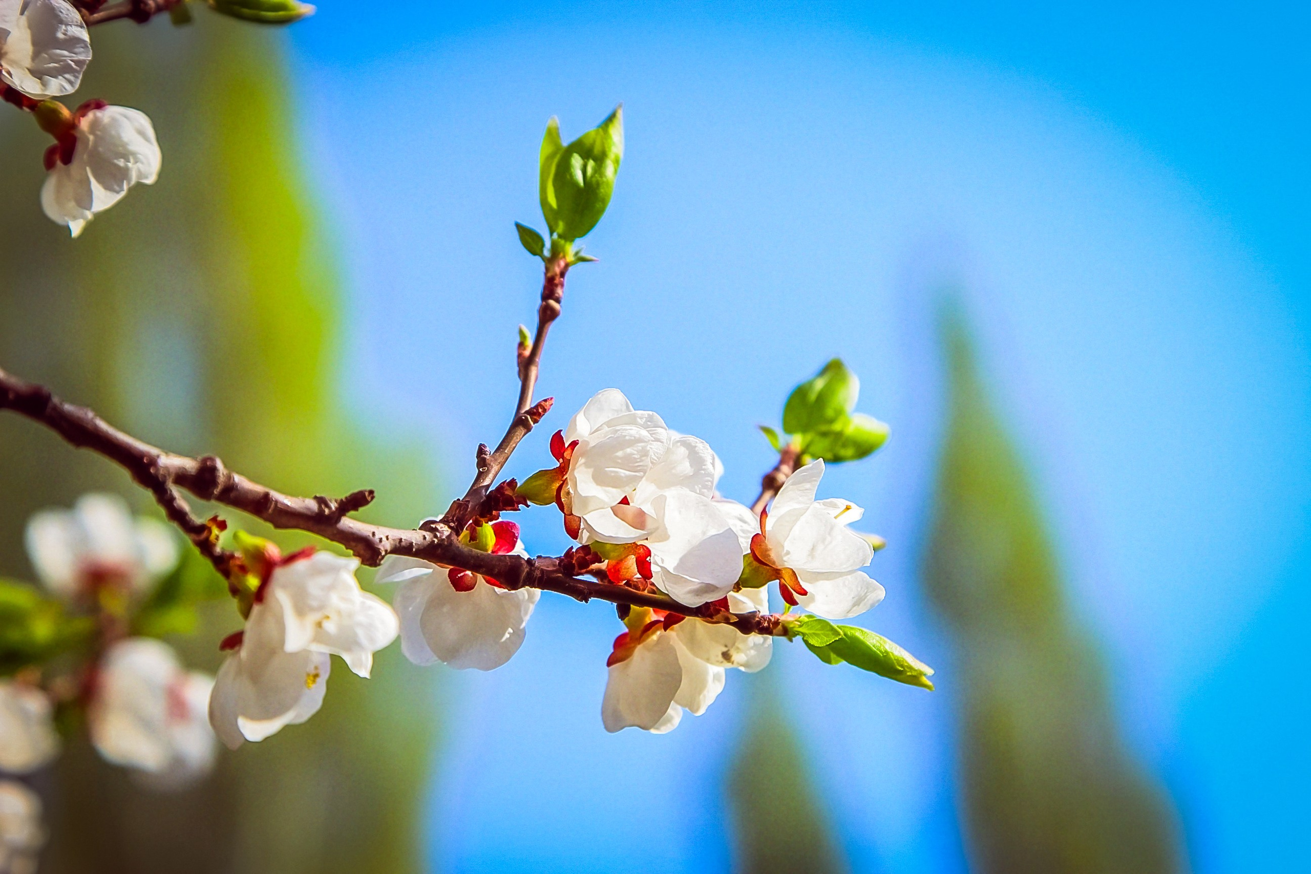 Vika. Фотограф Наталия Новгородова. Портрет, fashion, Beauty
