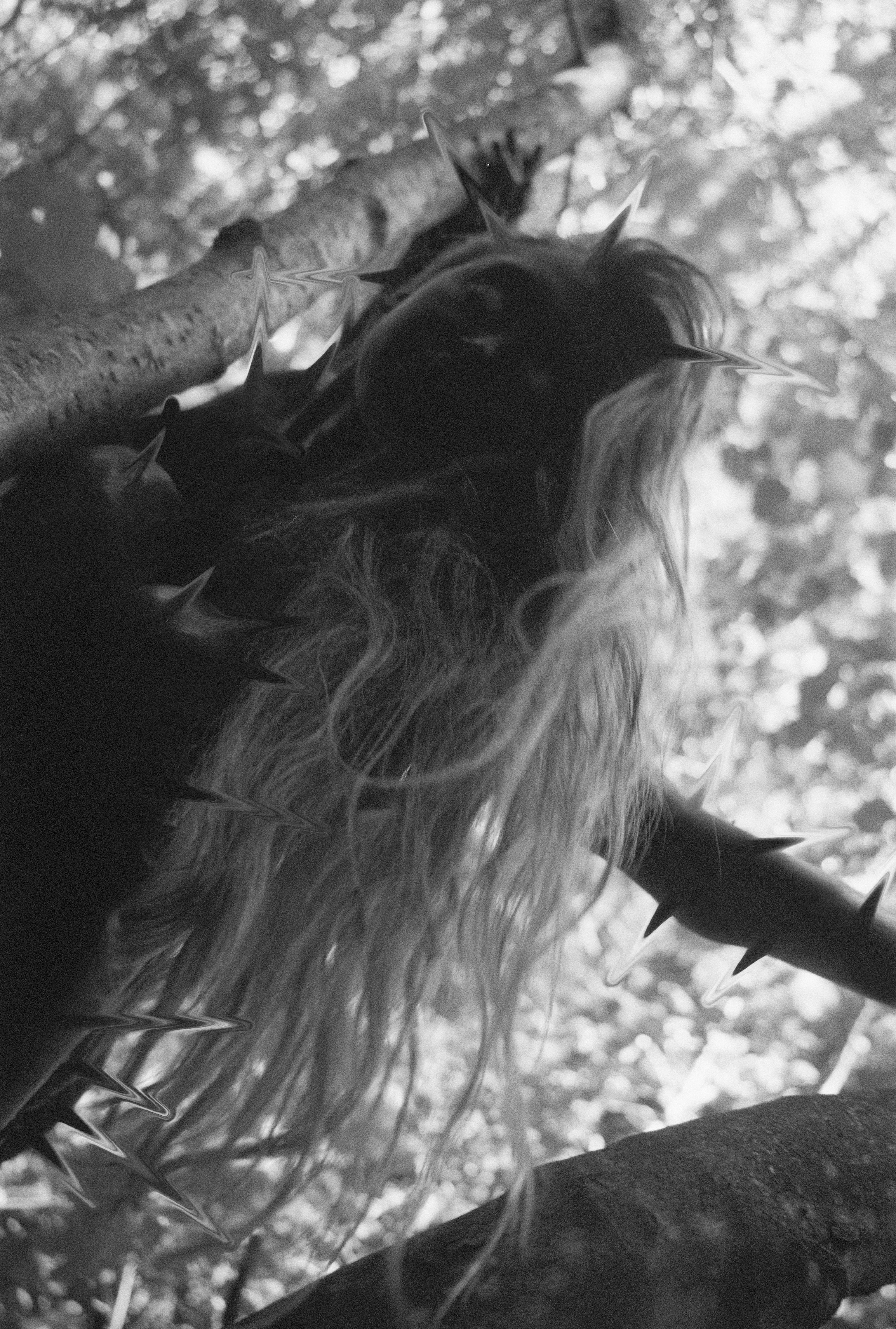 12.36.25.46.11. Tashaosm.com