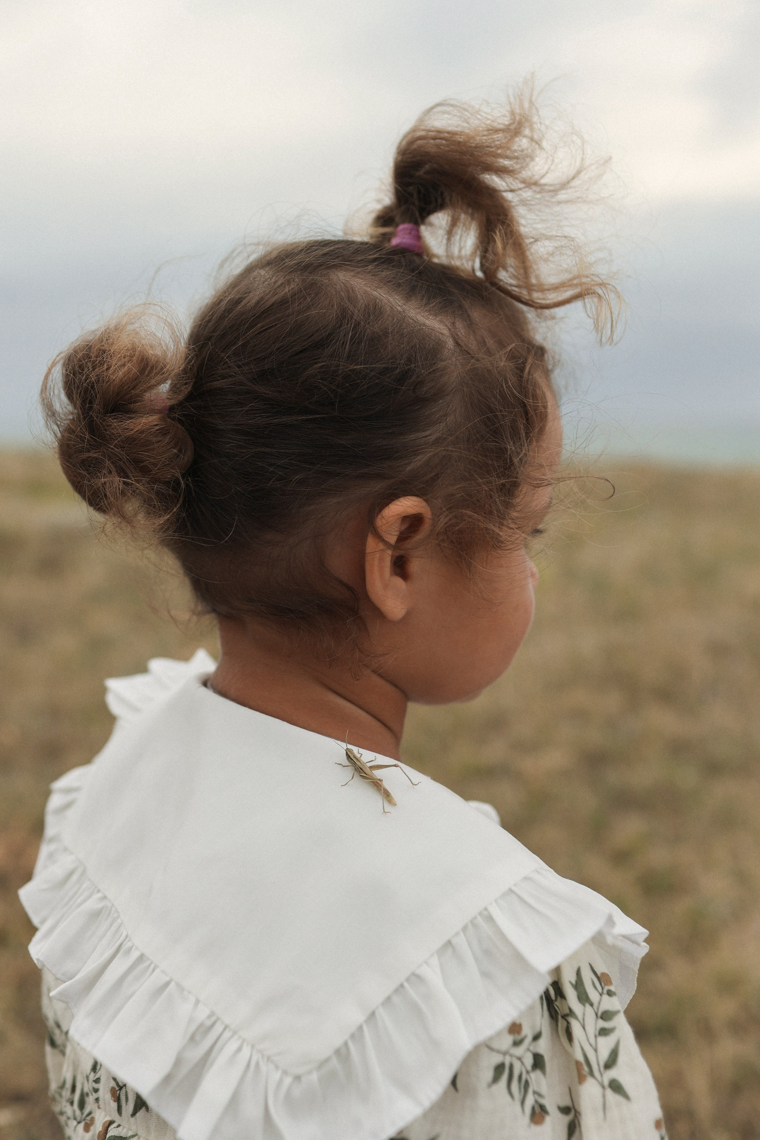 Пойдем, словлю тебе кузнечика. Свадебный и портретный фотограф. Видеограф на Свадьбу. Севастополь, Ялта, Симферополь, Крым
