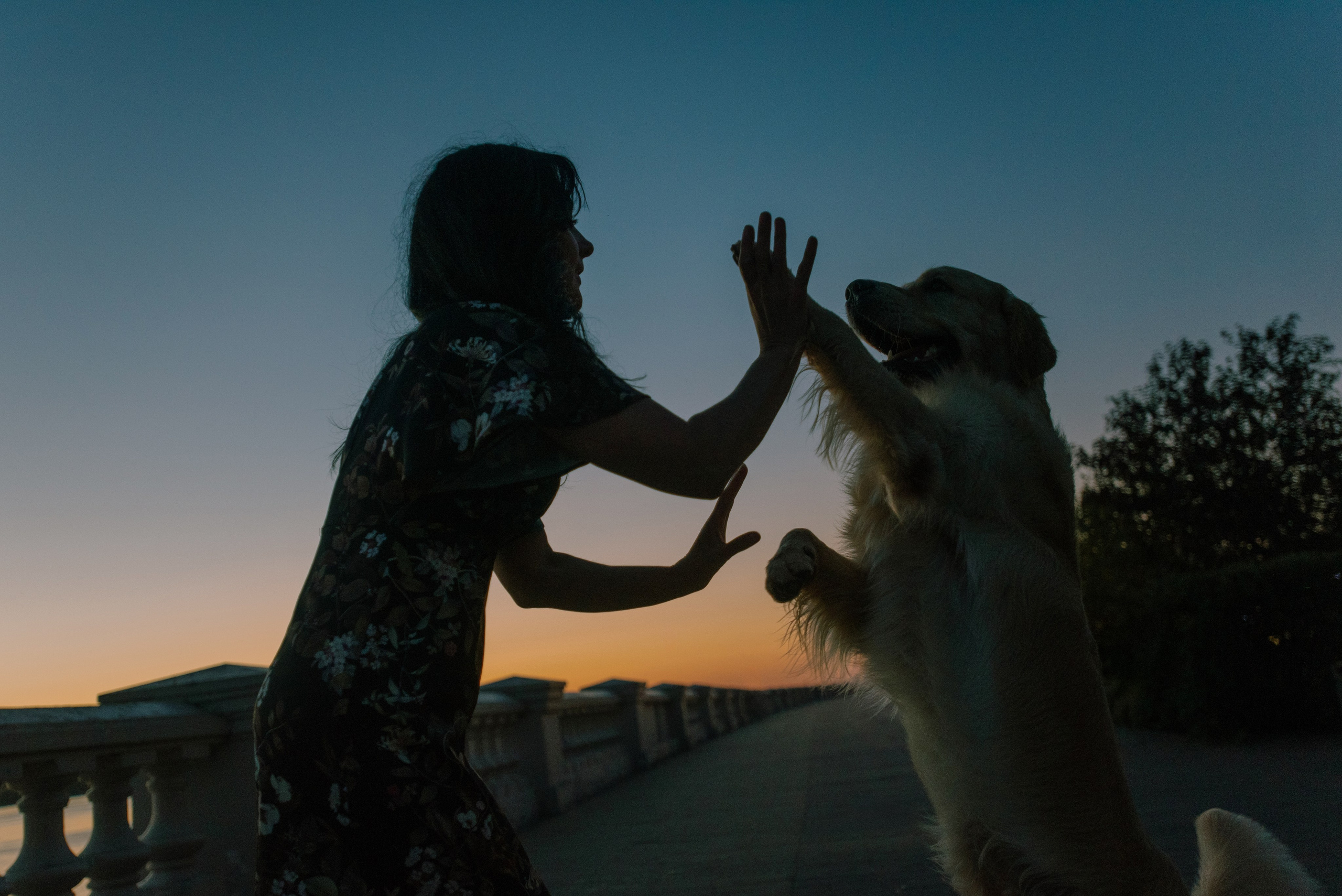 Светлана и Чарли в Нижнем Новгороде. Фотограф Анна Тюрина
