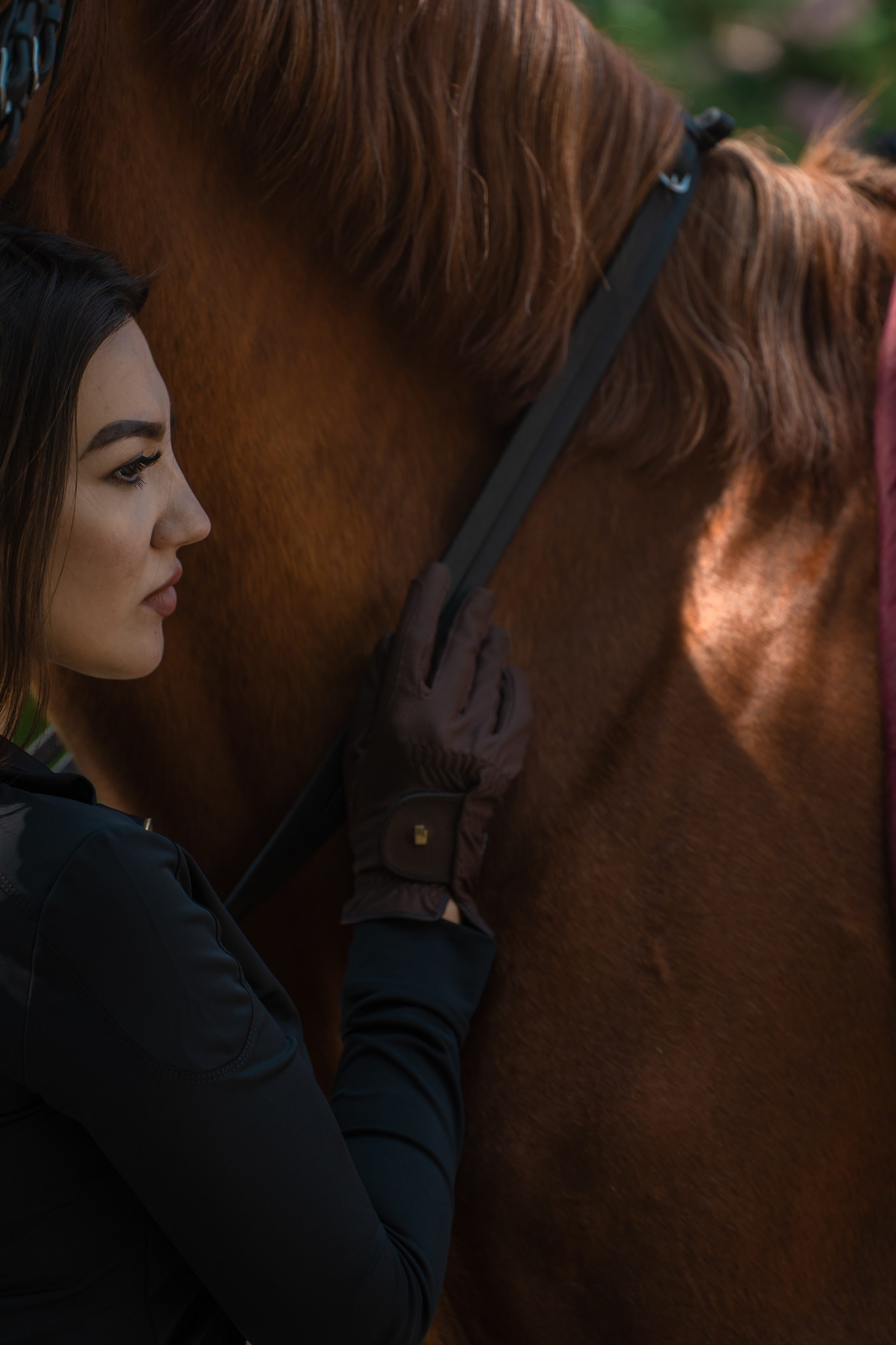 Конный бренд. Фотограф в Москве Ленарская Дарья