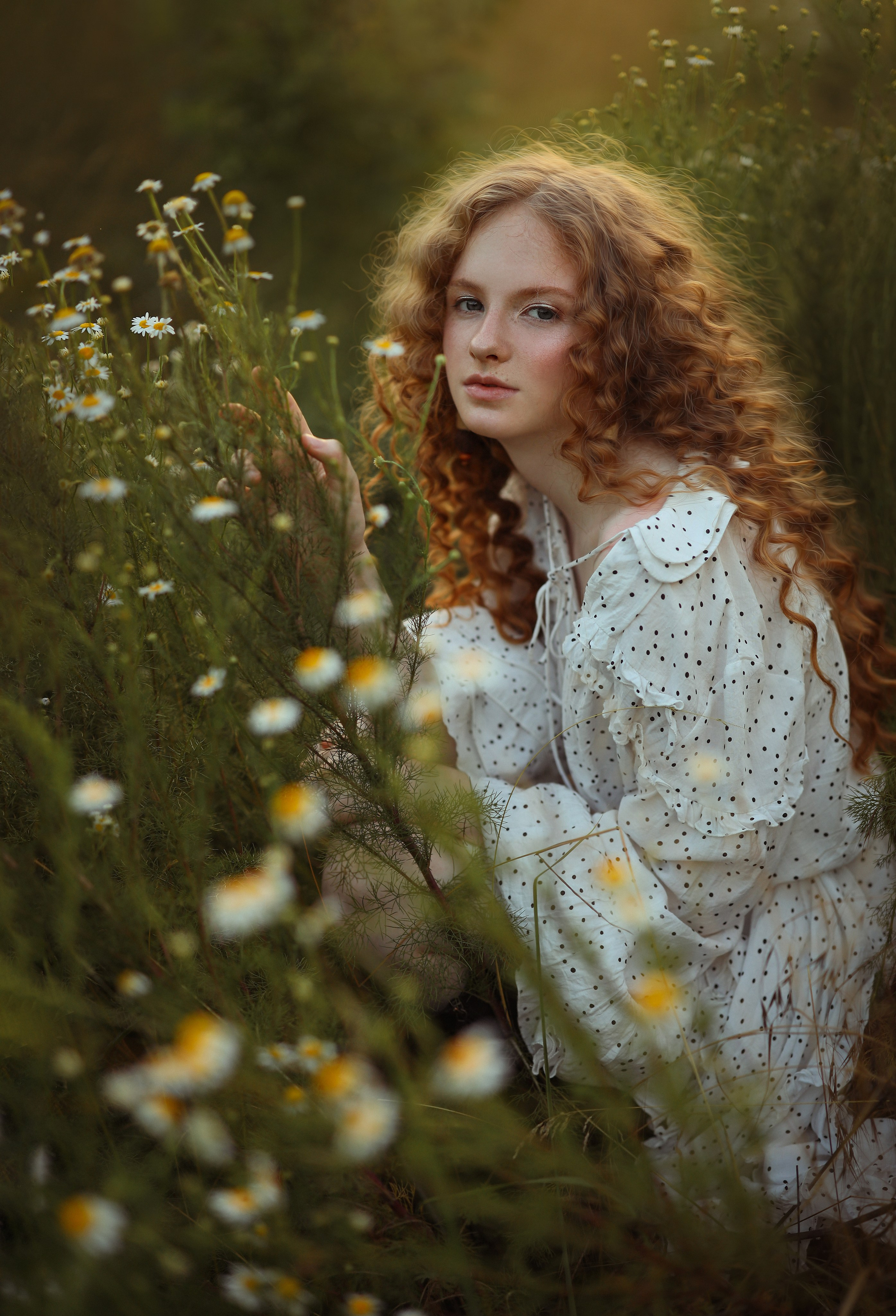 Камилла в поле ромашек. Свадебный и семейный фотограф в Абхазии Жанна Соснина