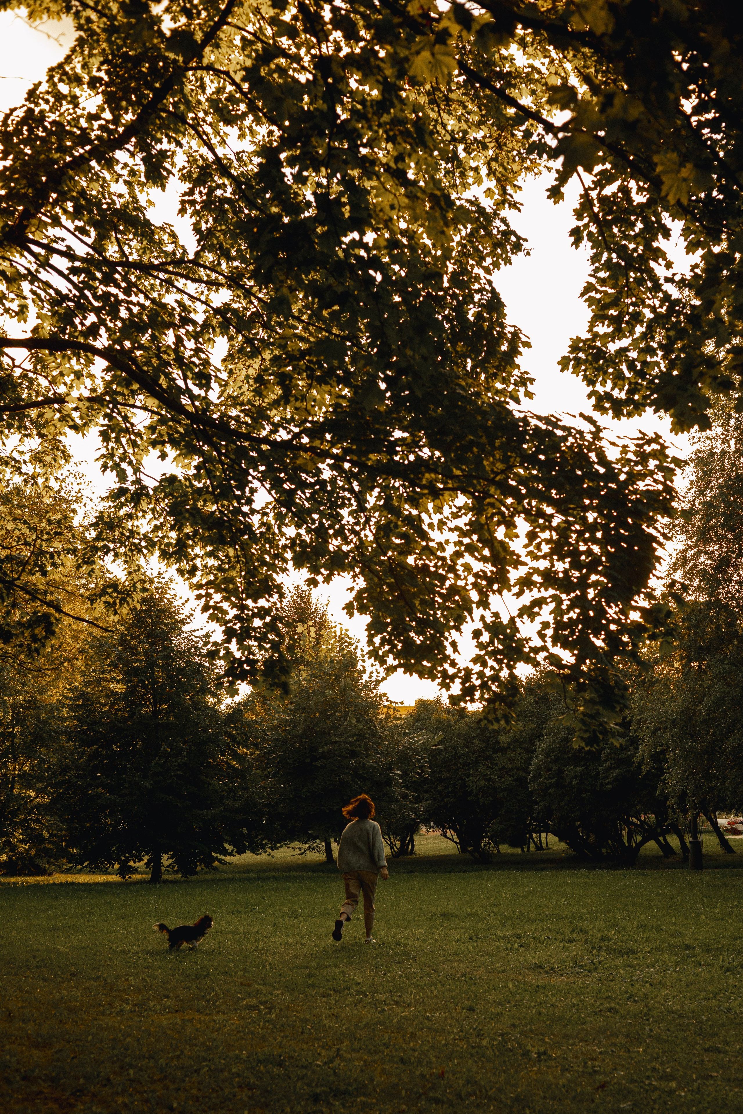 Один день из жизни Стеши и её родных. Фотограф — анималист •love-story•|Санкт-Петербург