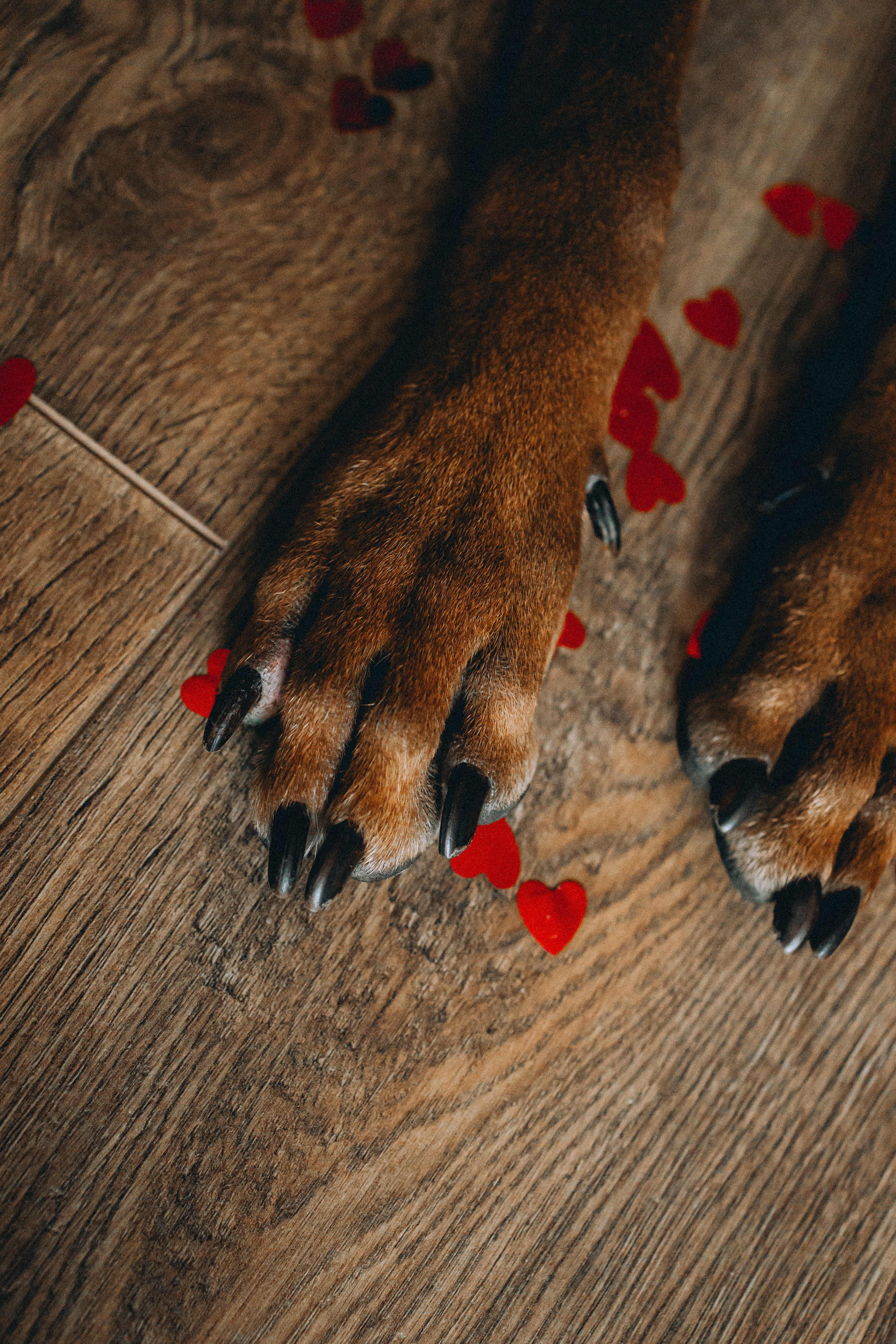 Оксана и Зевс