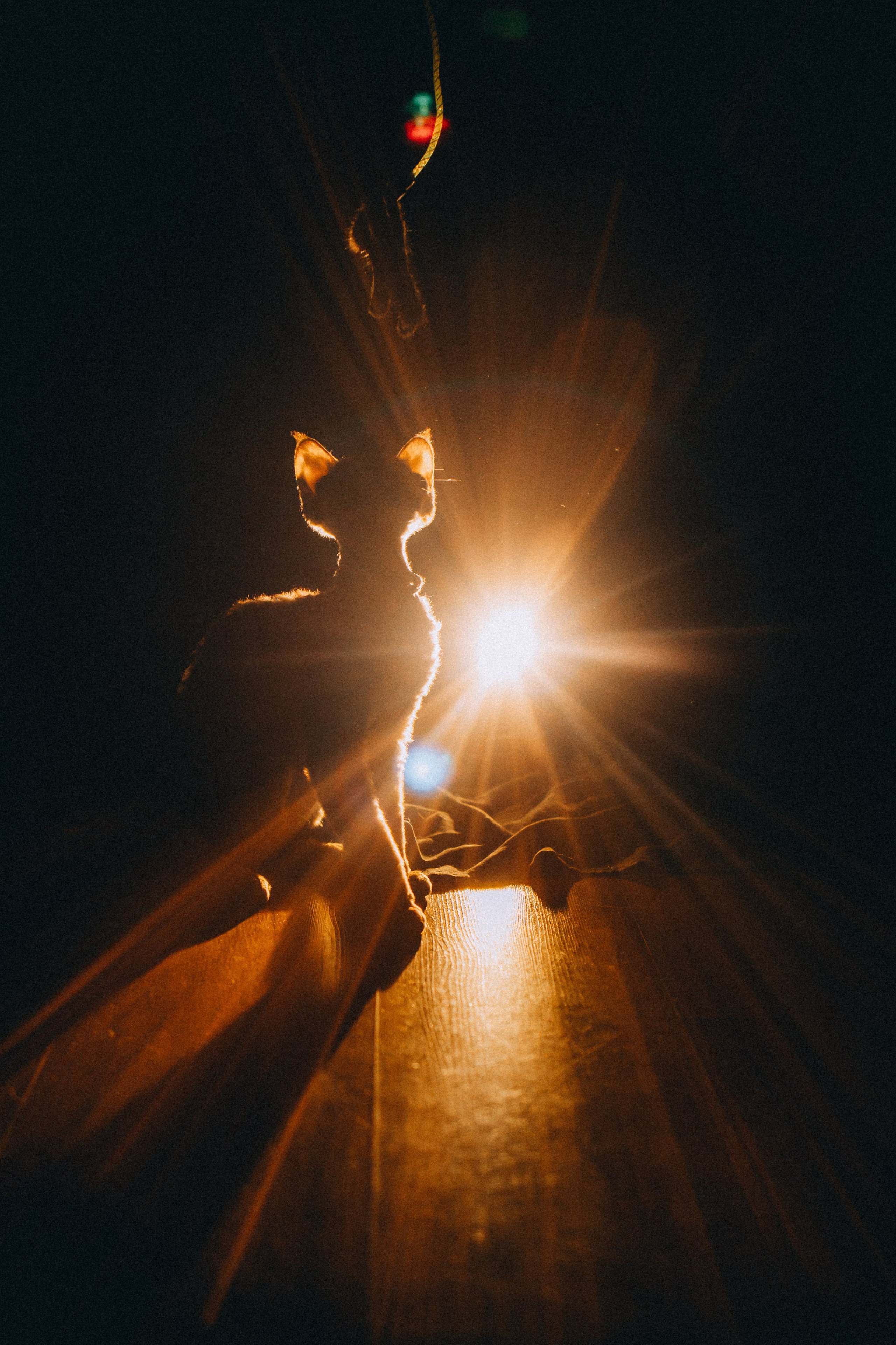 Гречка, Ковш и их семья