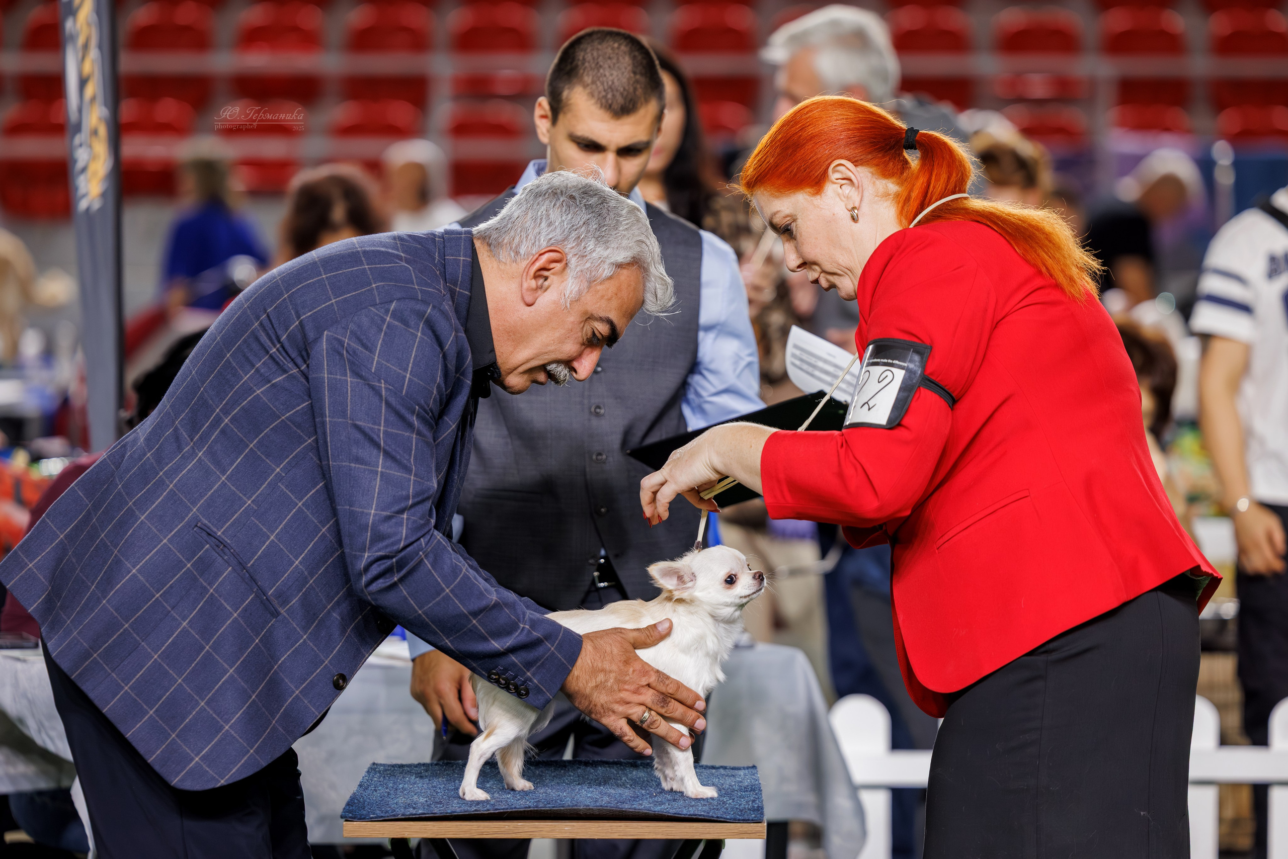 Телави 11-12.10.2025. Фотограф-анималист Юлия Германика