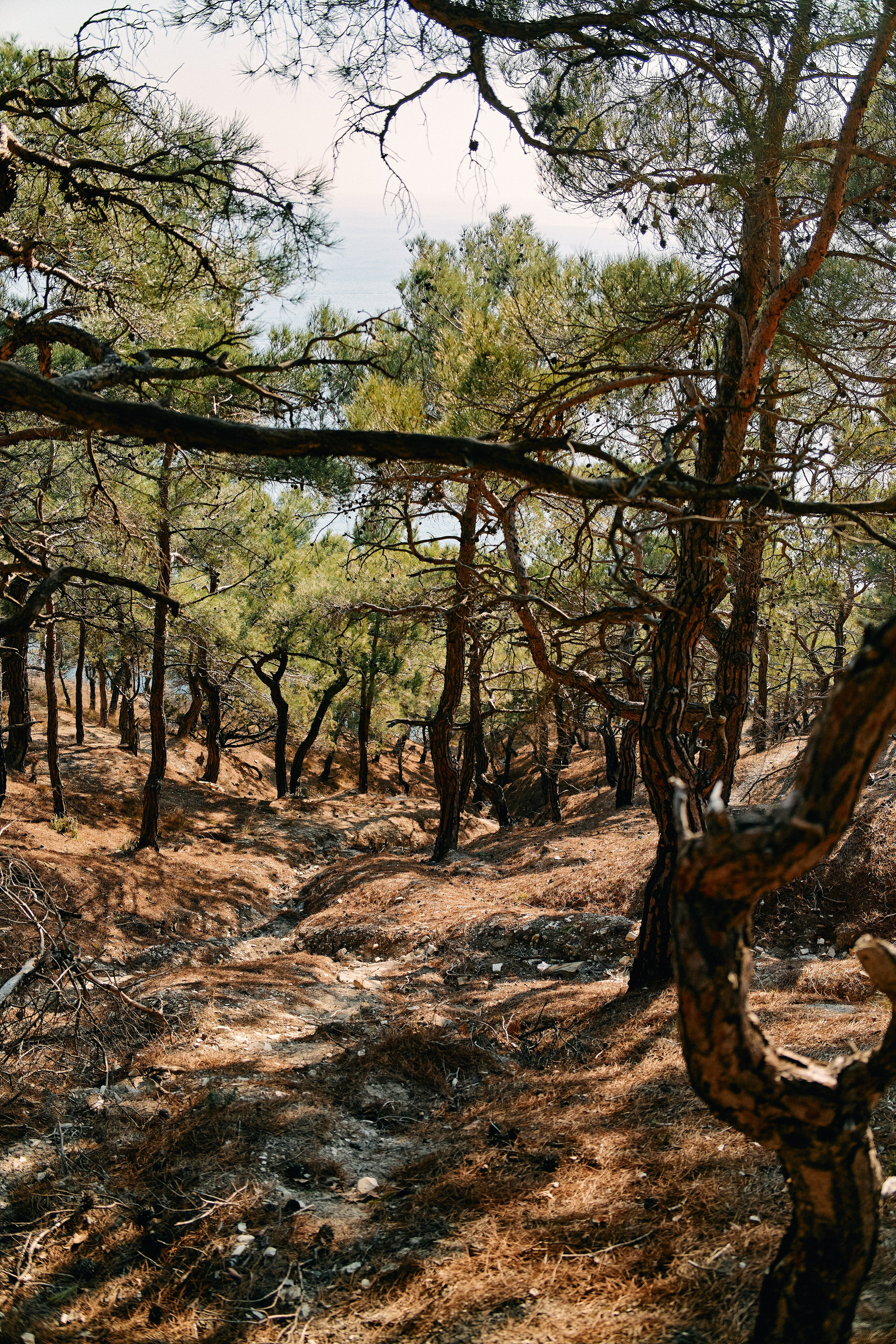 Юг России. Профессиональный Фотограф во Владимире, в Москве и в Суздале — Полина Романычева