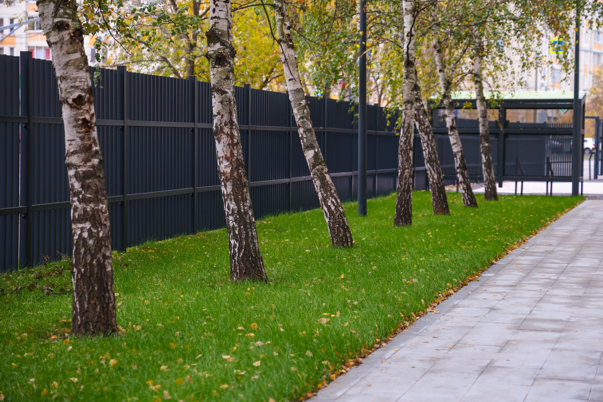 Интерьер. Фотограф и видеограф — Москва