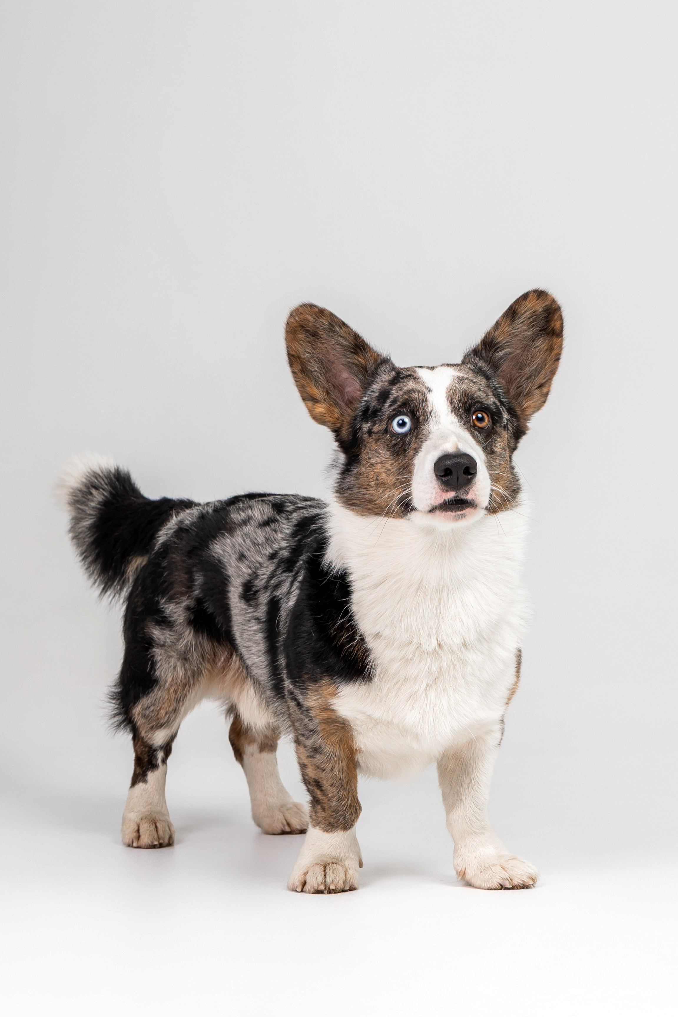 Анатолий и Рагнар